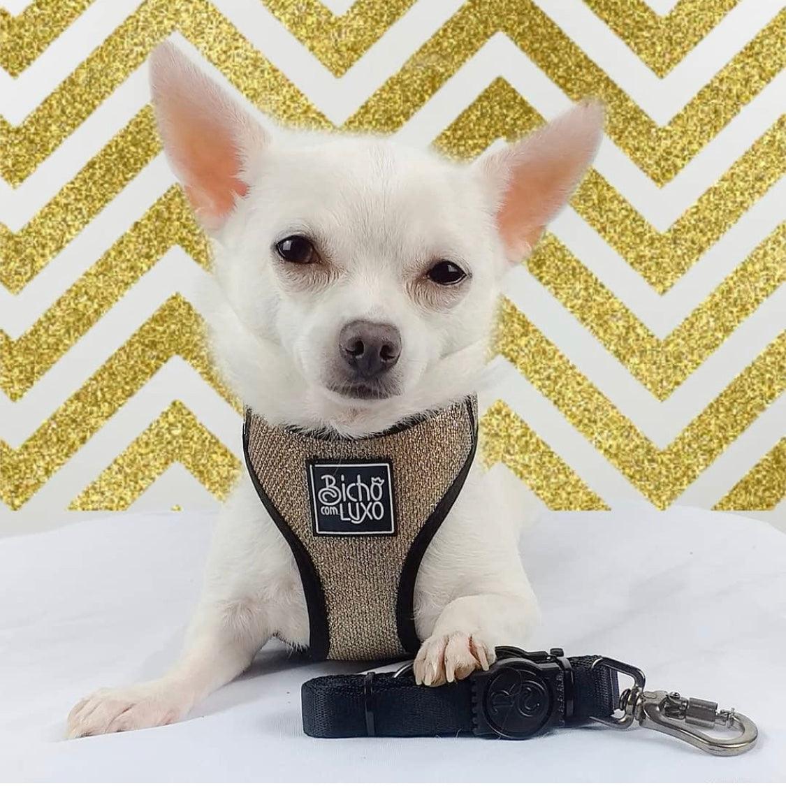 Peitoral com Guia Luxo PP - neoprene e nix、mySite、camillekostekn