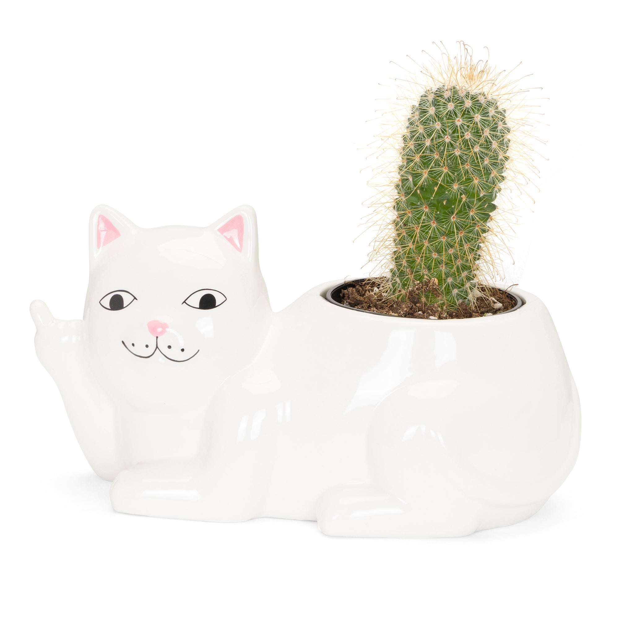  Lord Nermal Ceramic Planter (White)、mySite、merchandisen
