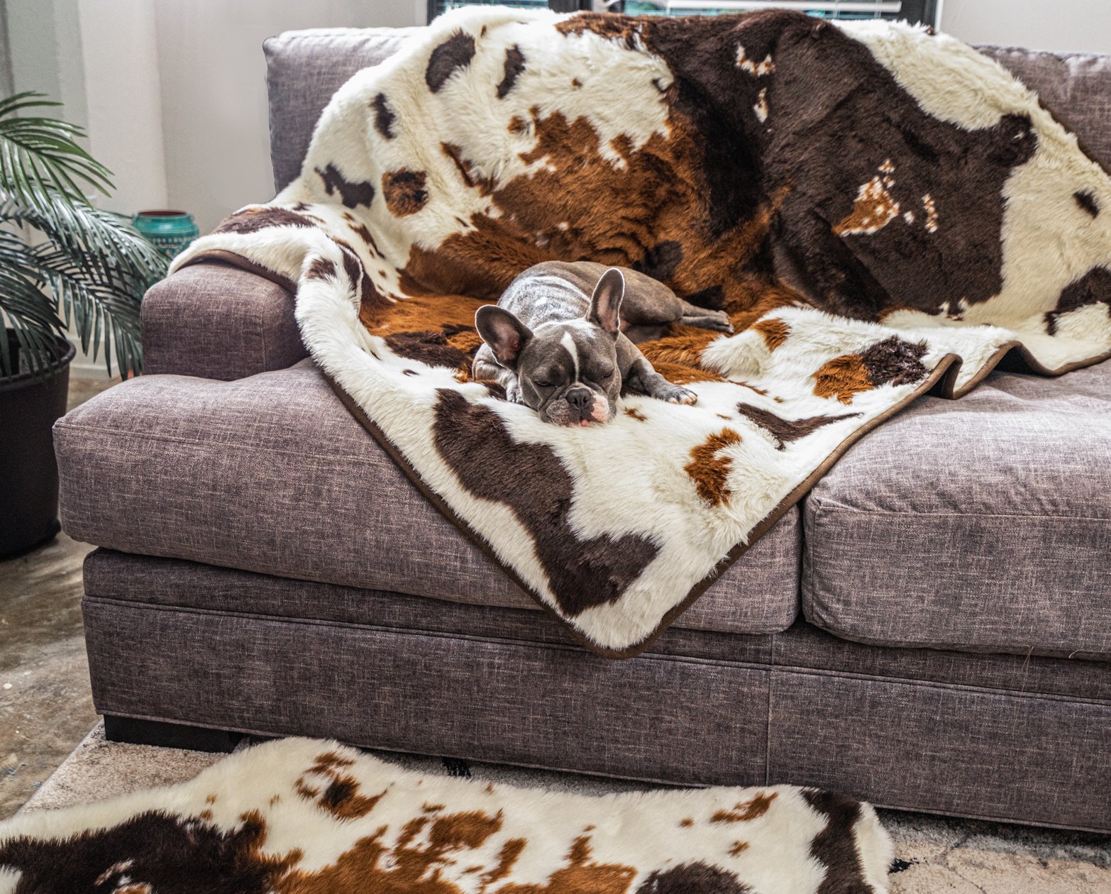 PupRug™ Junior Memory Foam Bed + Matching Waterproof Blanket Bundle - Brown Faux Cowhide、mySite、solidvoid