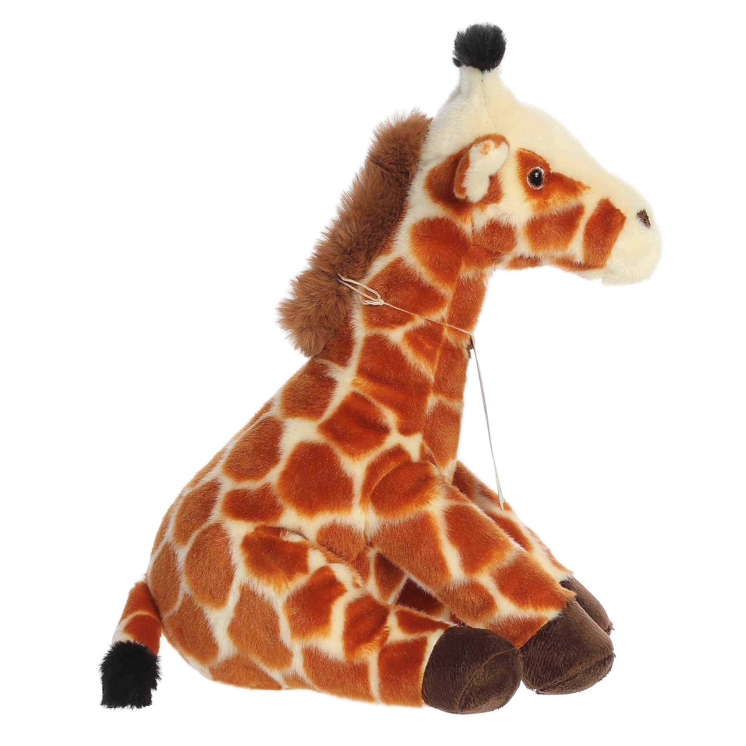 Aurora® - Eco Nation™ - Eco Hugs™ - 13 Giraffe、mySite、g9winljtr