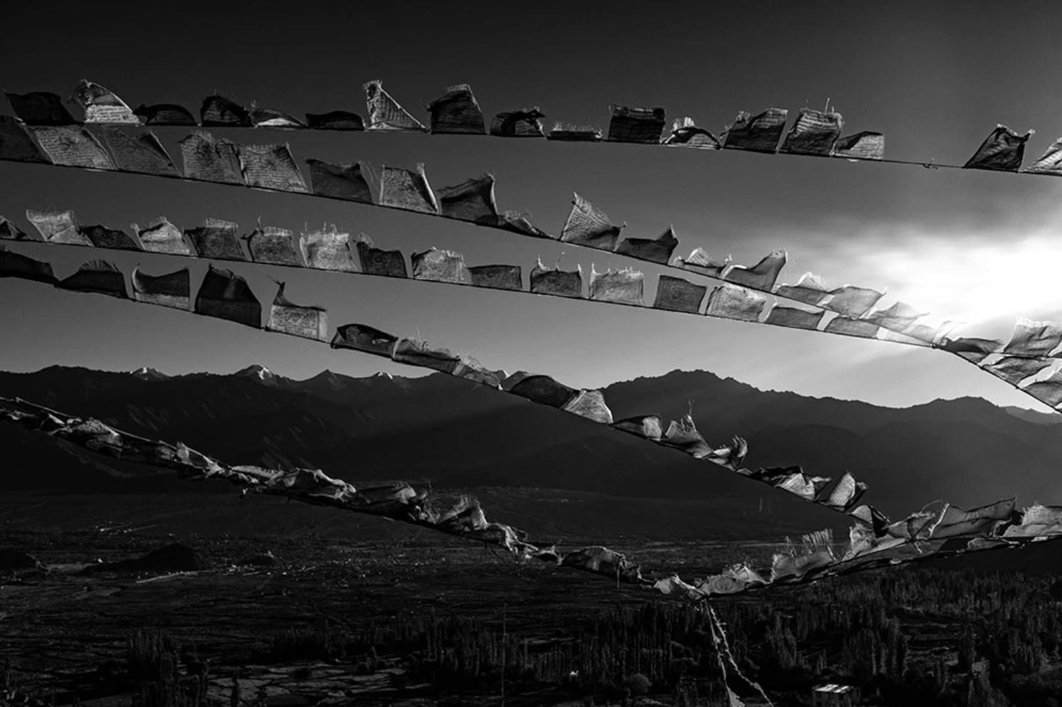 'Prayer Flags at near Leh Palace' - Aman Chotani original print、mySite、topwebapps