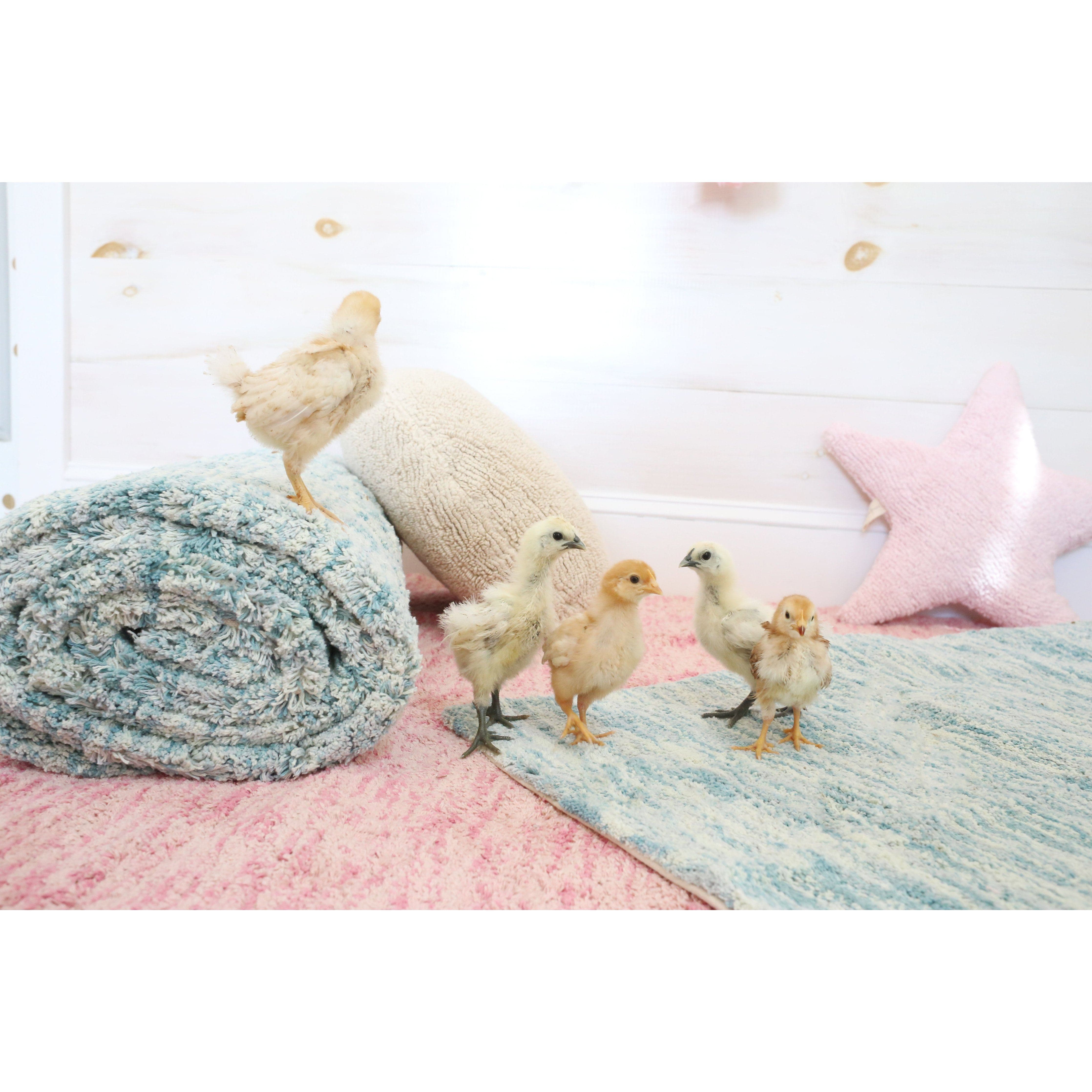 Star Pink Cushion、mySite、gigharbornorthrealestate