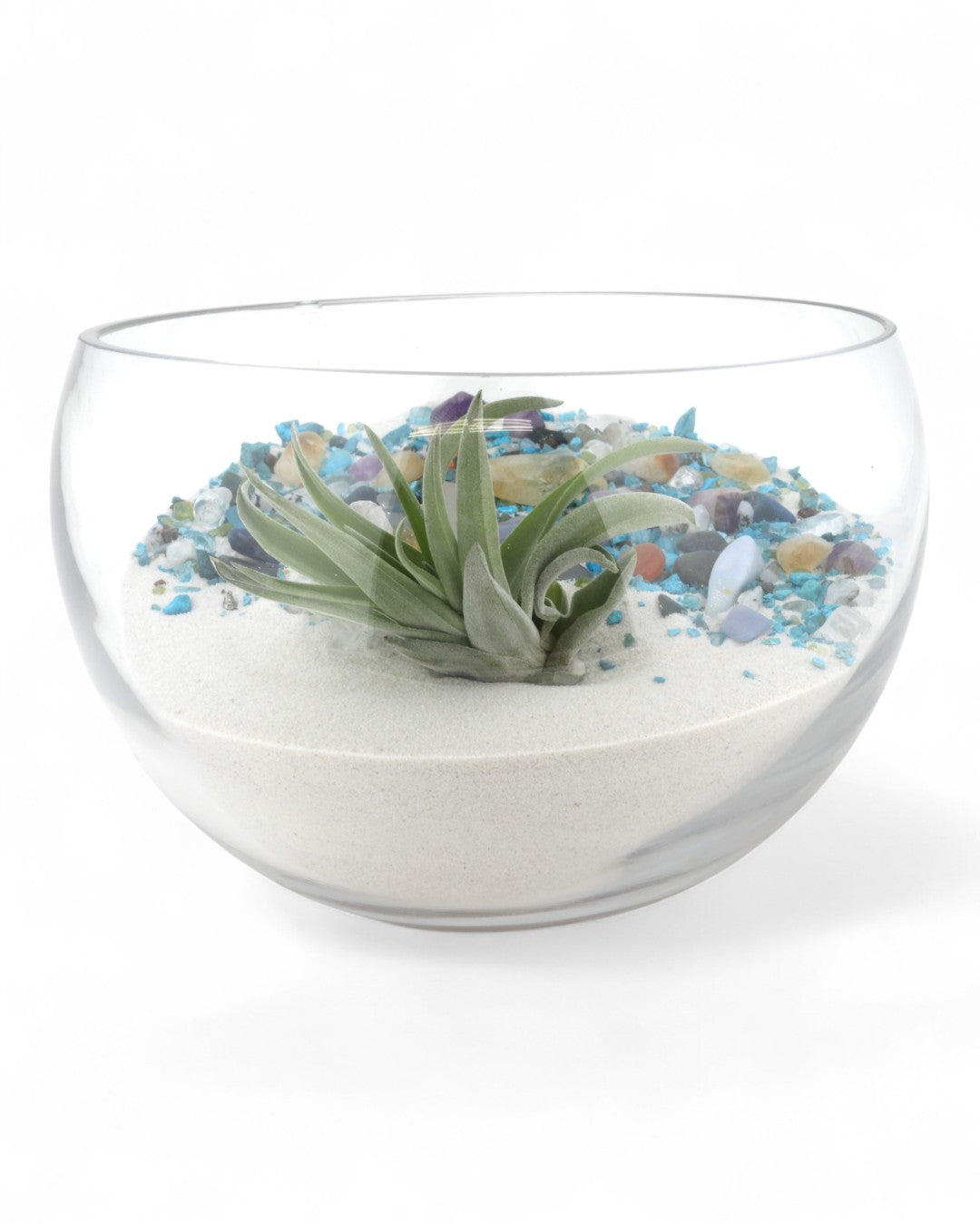Multicolor Gemstone Terrarium with Healing Quartz、mySite、topwebapps