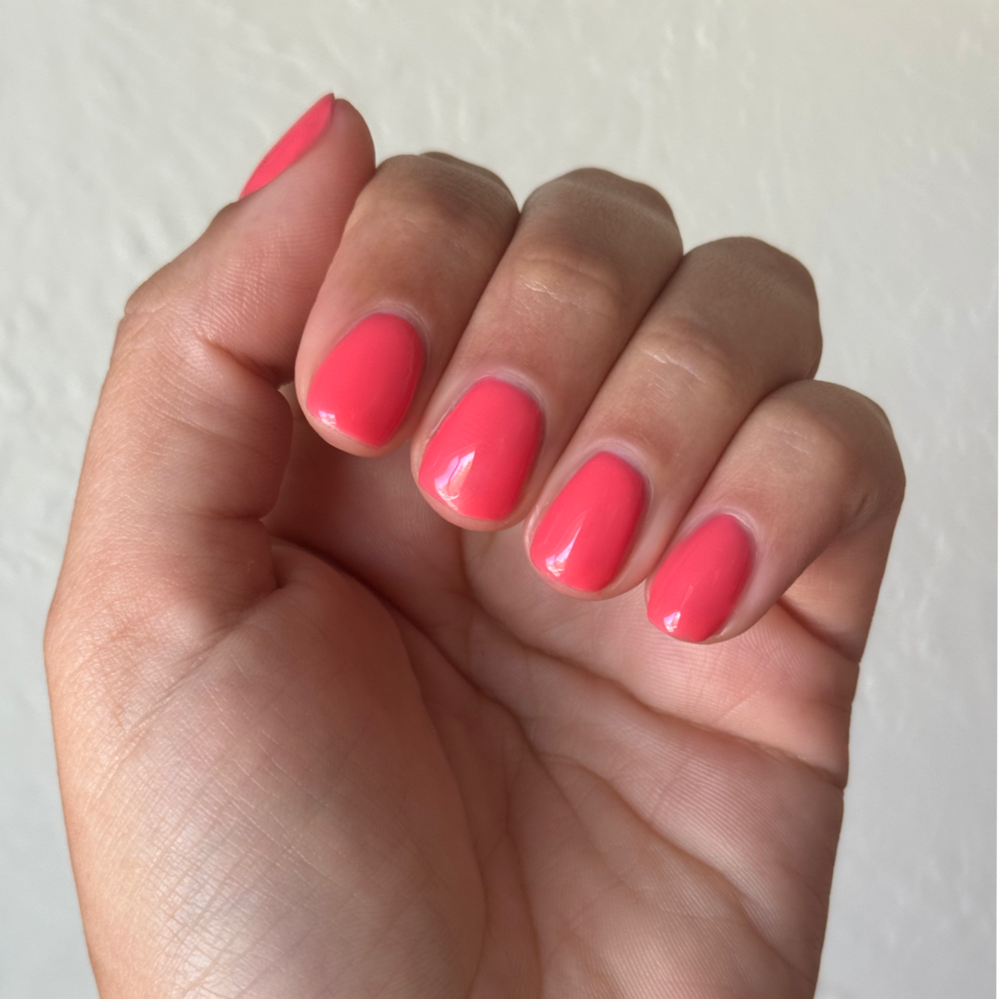 Field Day - Gel、mySite、solidvoid