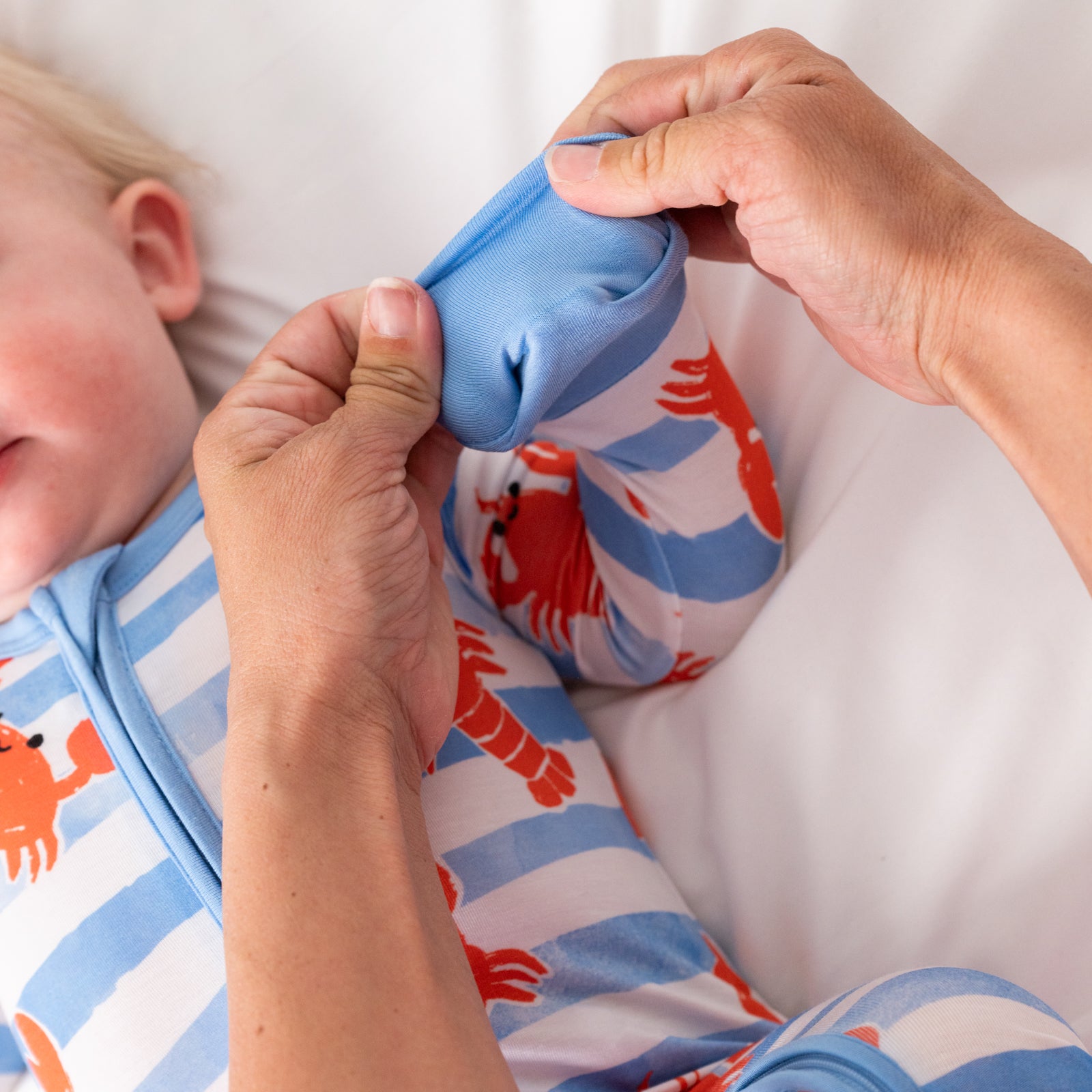  Crustacean Crew Zippy、mySite、layawaytickets