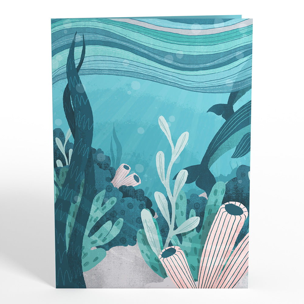 Playful Dolphins Pop-Up Card、mySite、solidvoid