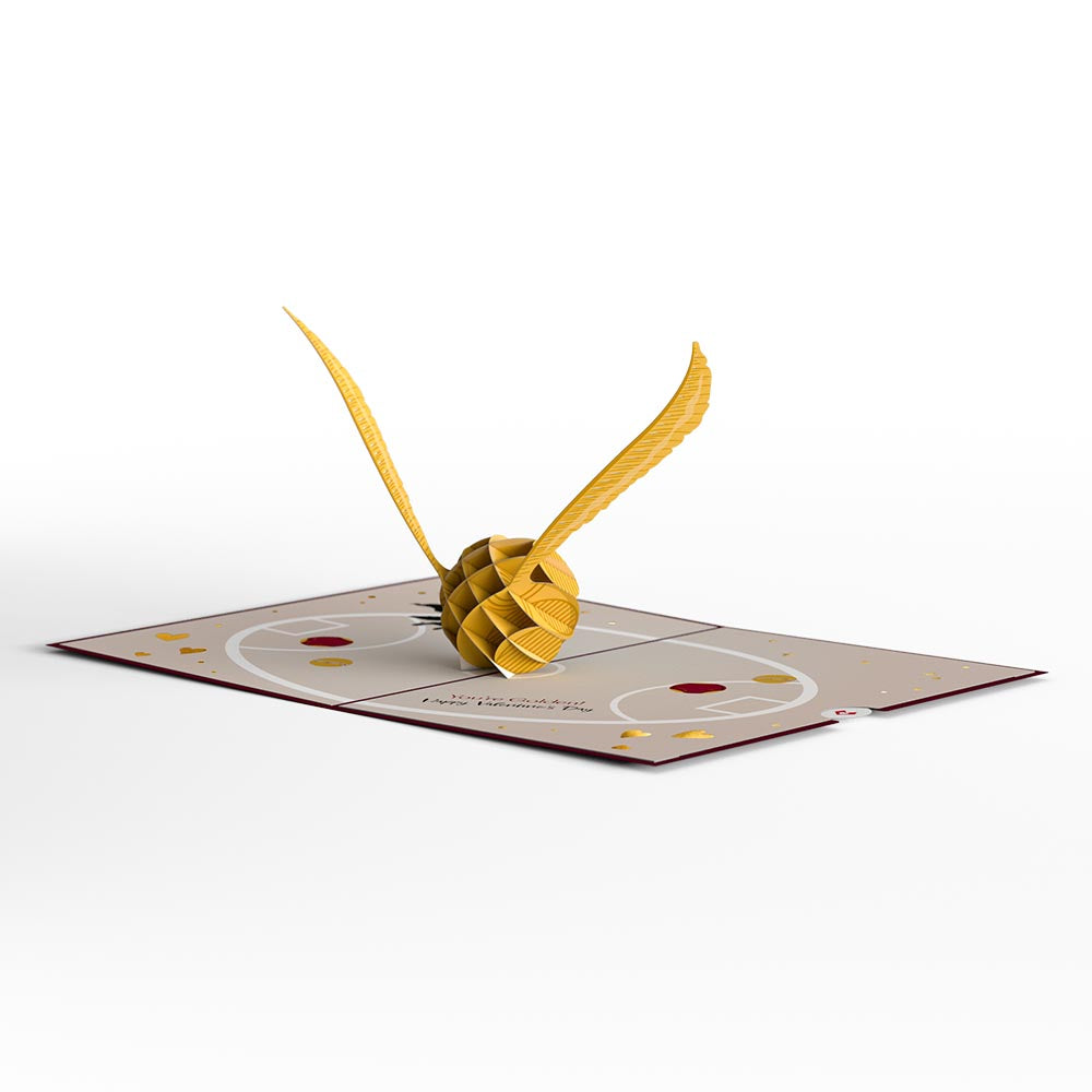 Harry Potter™ You Make My Heart Soar Pop-Up Card、mySite、solidvoid