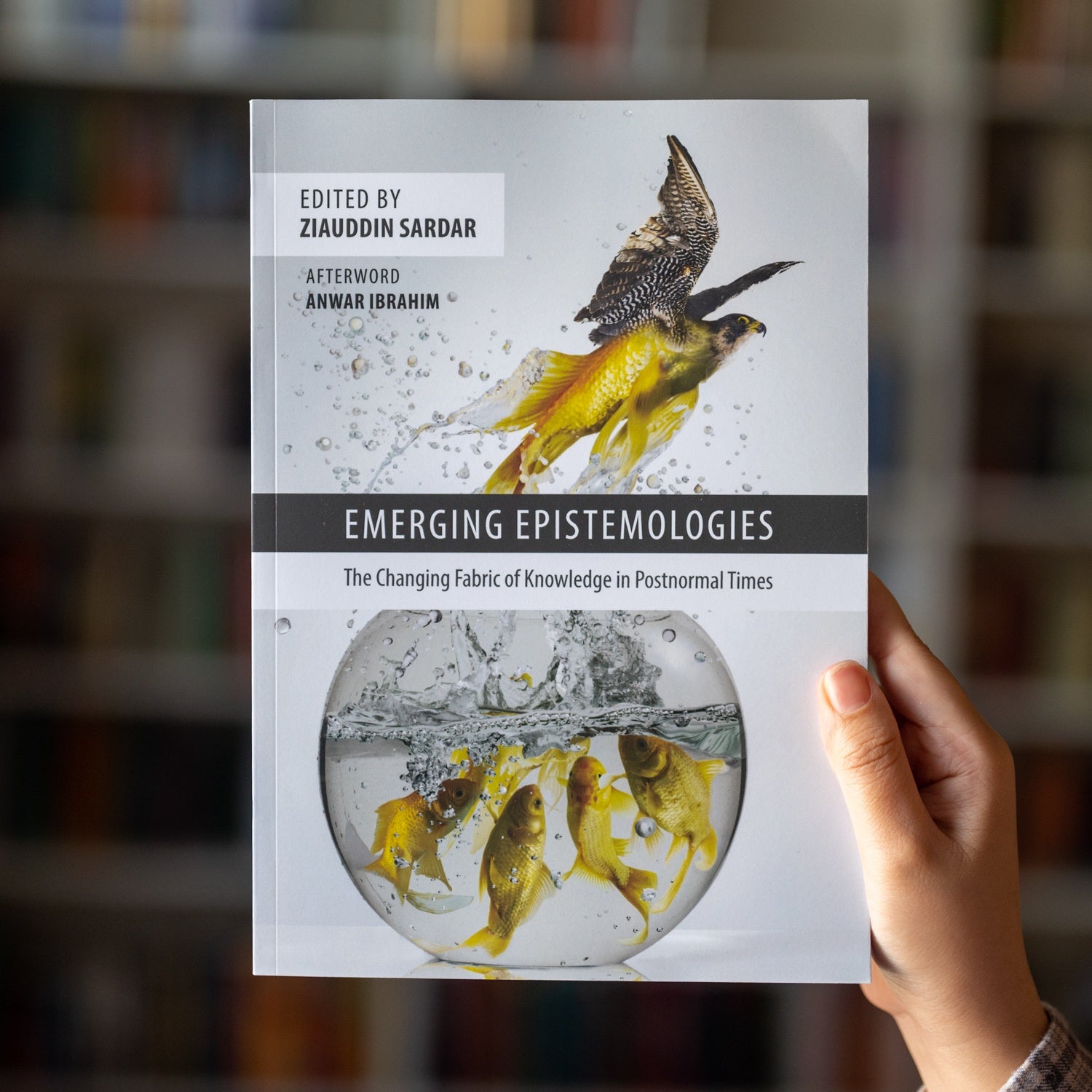 Emerging Epistemologies: The Changing Fabric of Knowledge in Postnormal Times、mySite、topwebapps