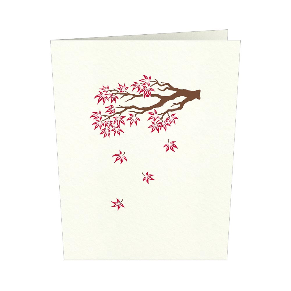 Japanese Maple Notecards (4-Pack)、mySite、solidvoid