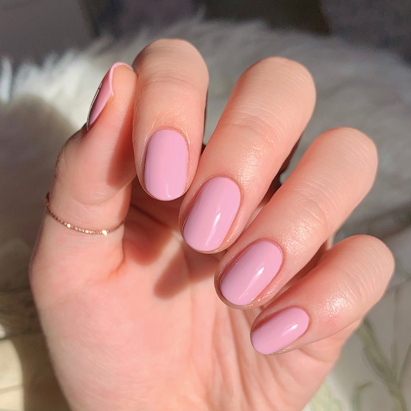 Cockatoo、mySite、solidvoid