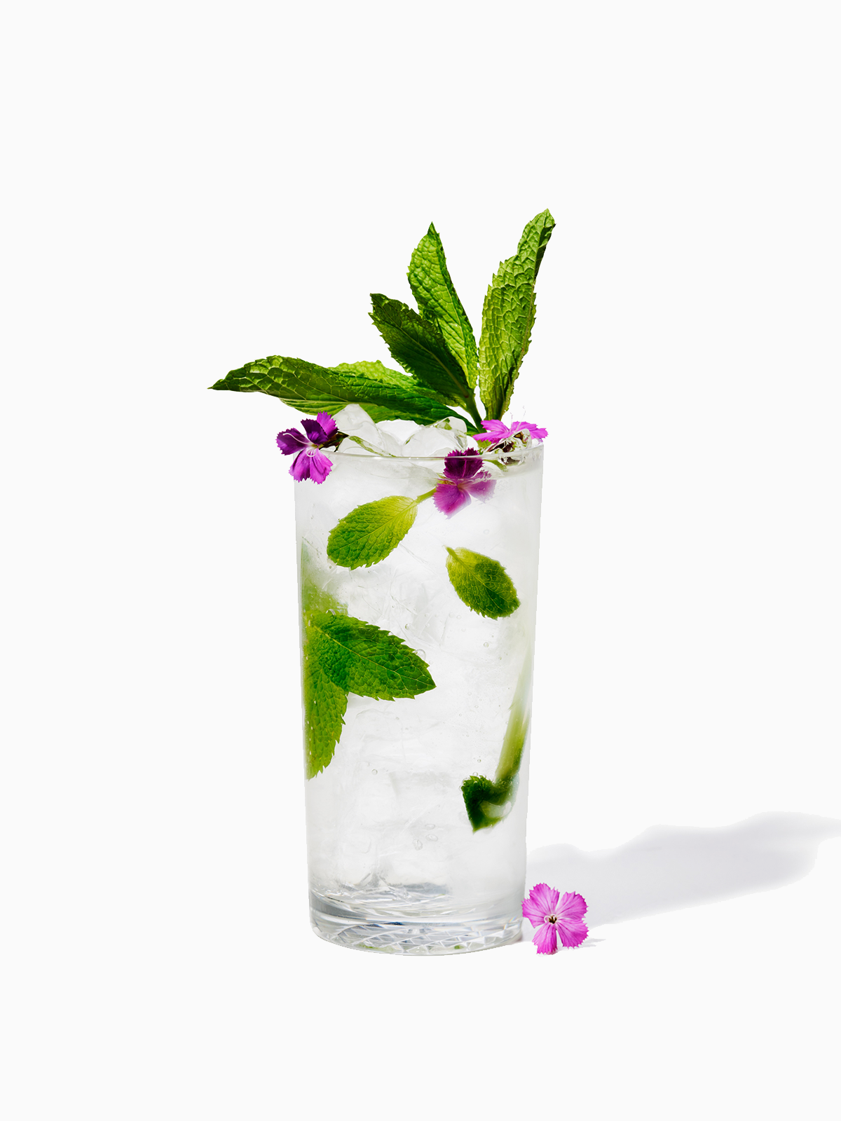 RESERVE 14oz Highball MS Copolyester Glass - Bulk、mySite、camillekostekn