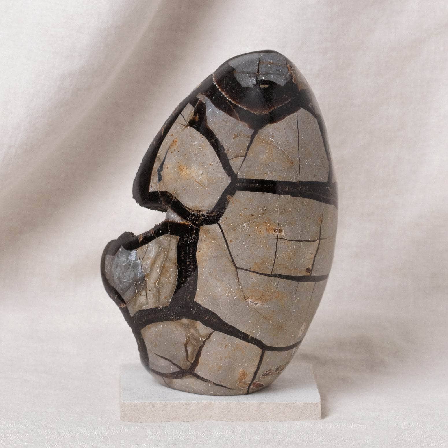 Rare Black Septarian Freeform Crystal、mySite、hinf8tx79