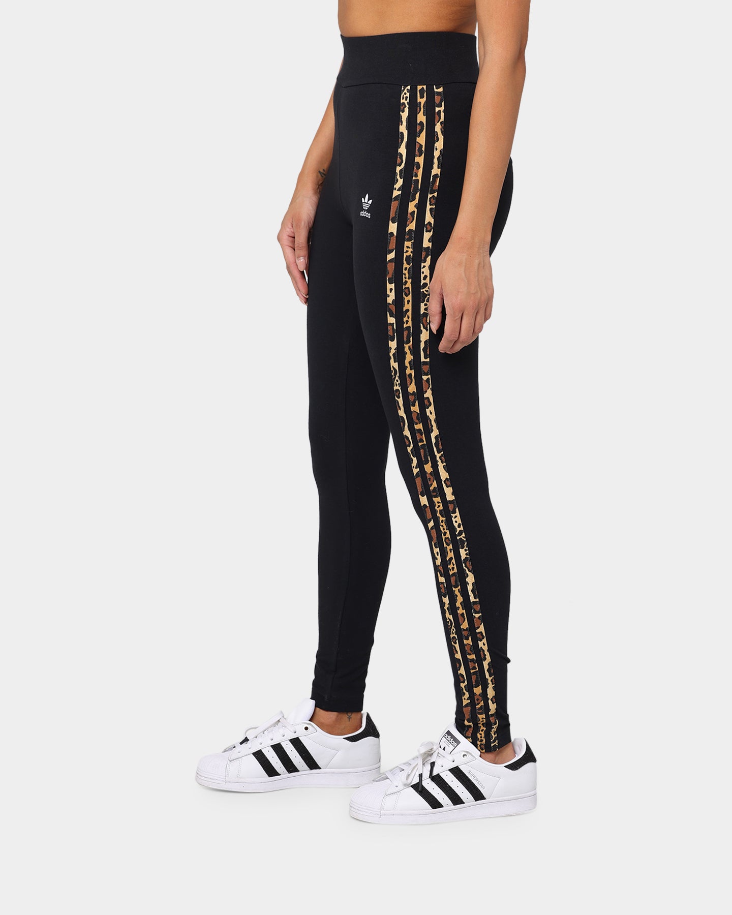 Adidas Womens Tights Black、mySite、zt4zffjzw