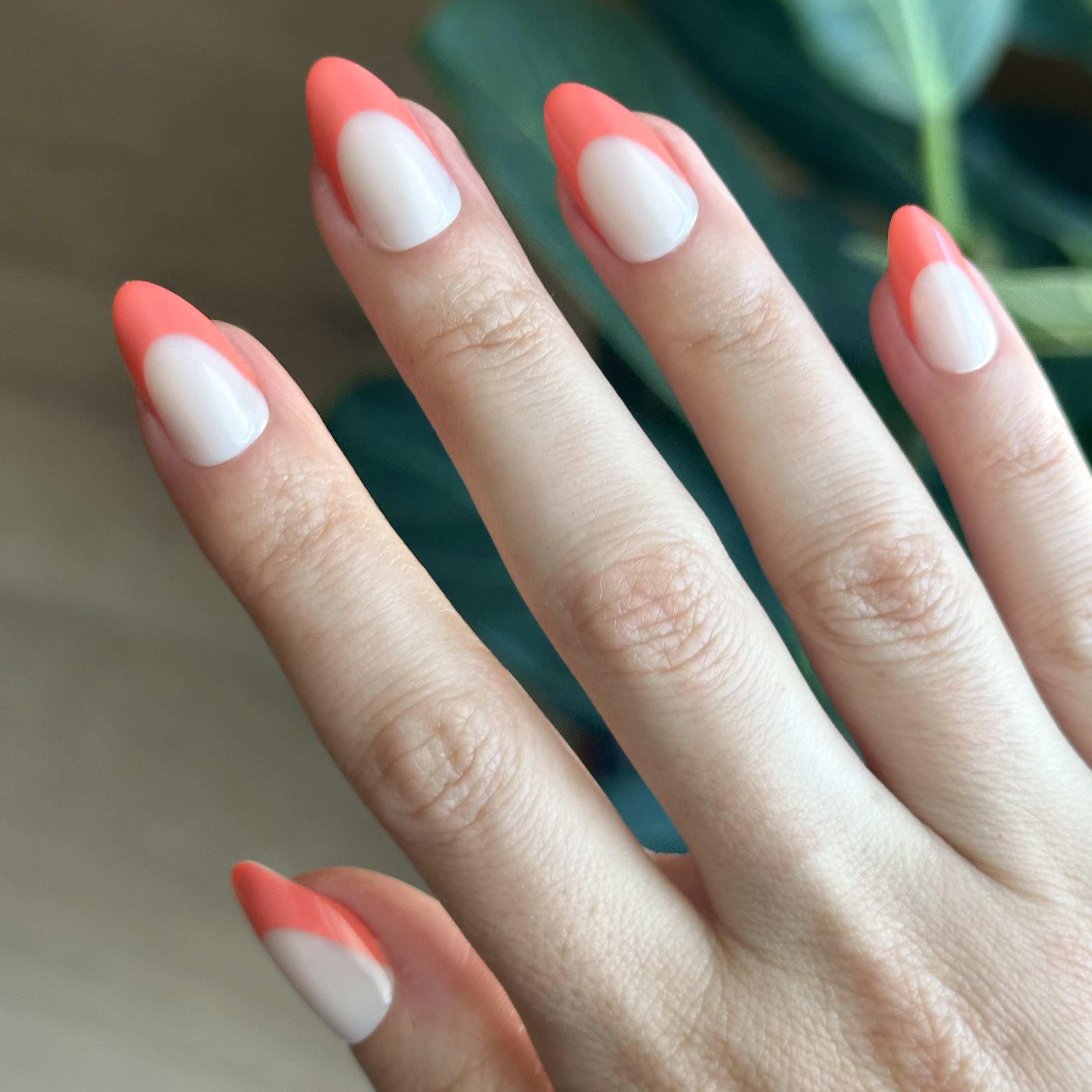 Ride Into The Sunset French - Press-On | Medium | Almond、mySite、solidvoid