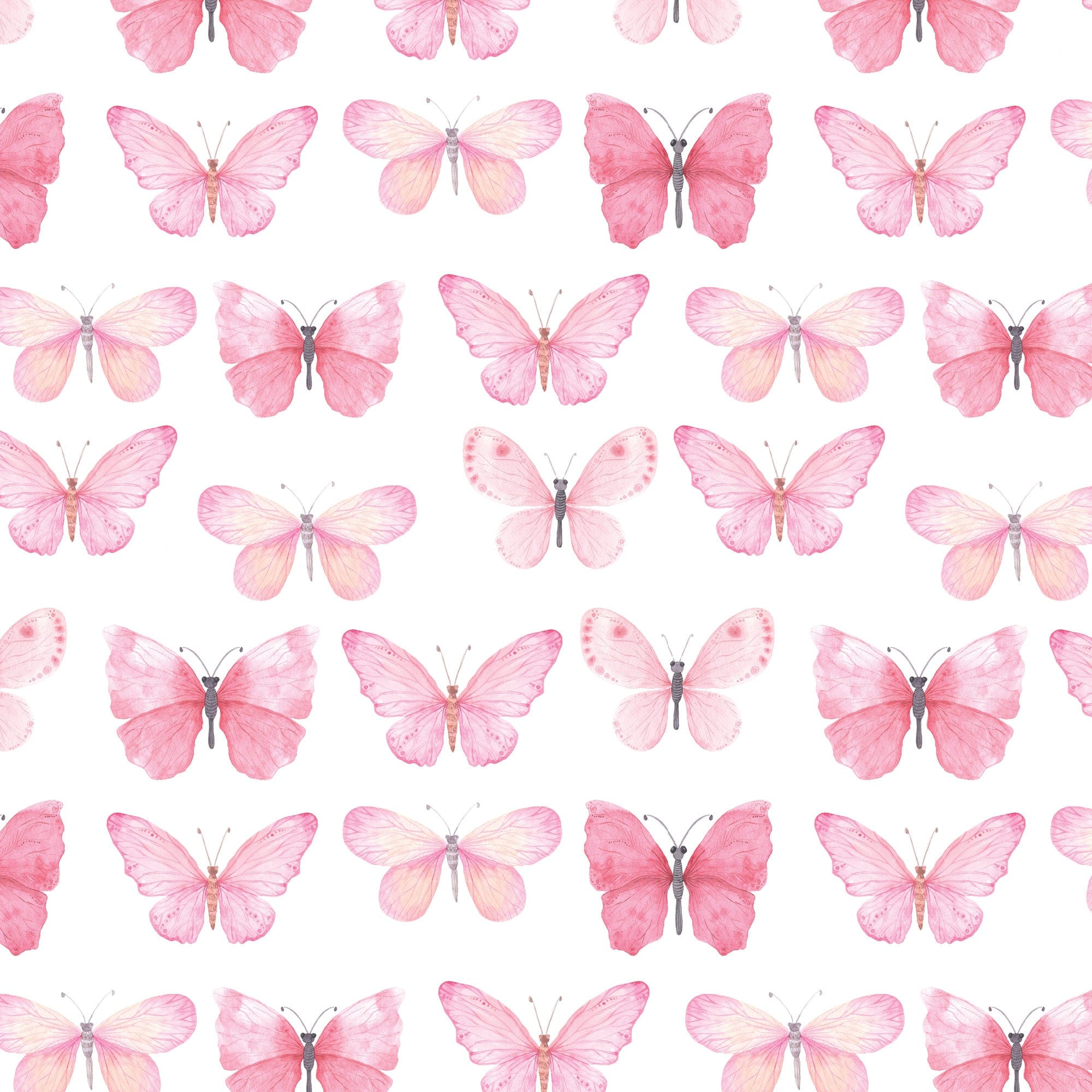  Pink Watercolor Butterflies 12 x 12 Paper、mySite、ghnorth