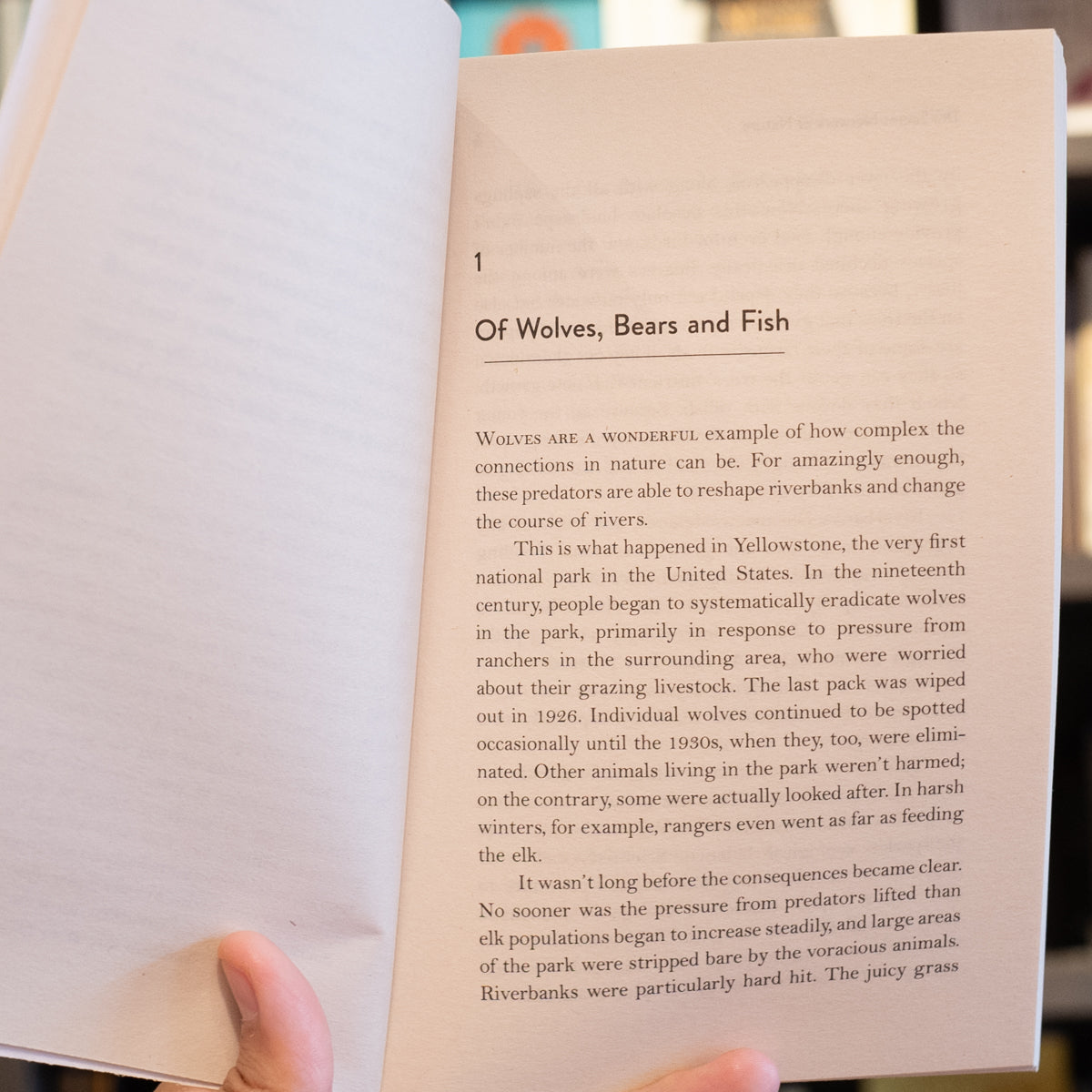 The Secret Network of Nature、mySite、topwebapps