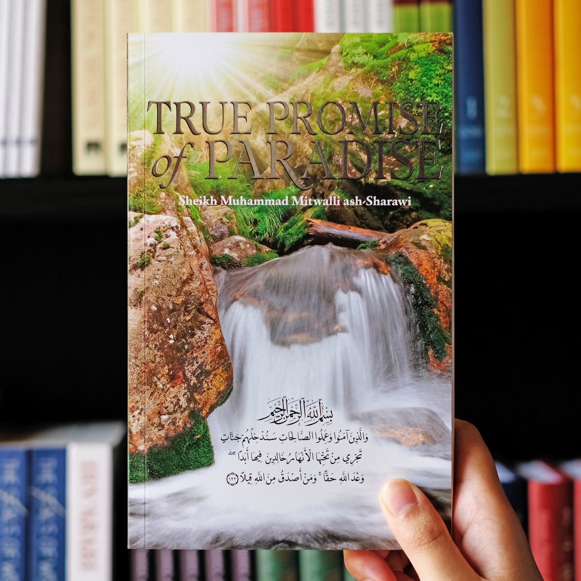 True Promise of Paradise、mySite、topwebapps