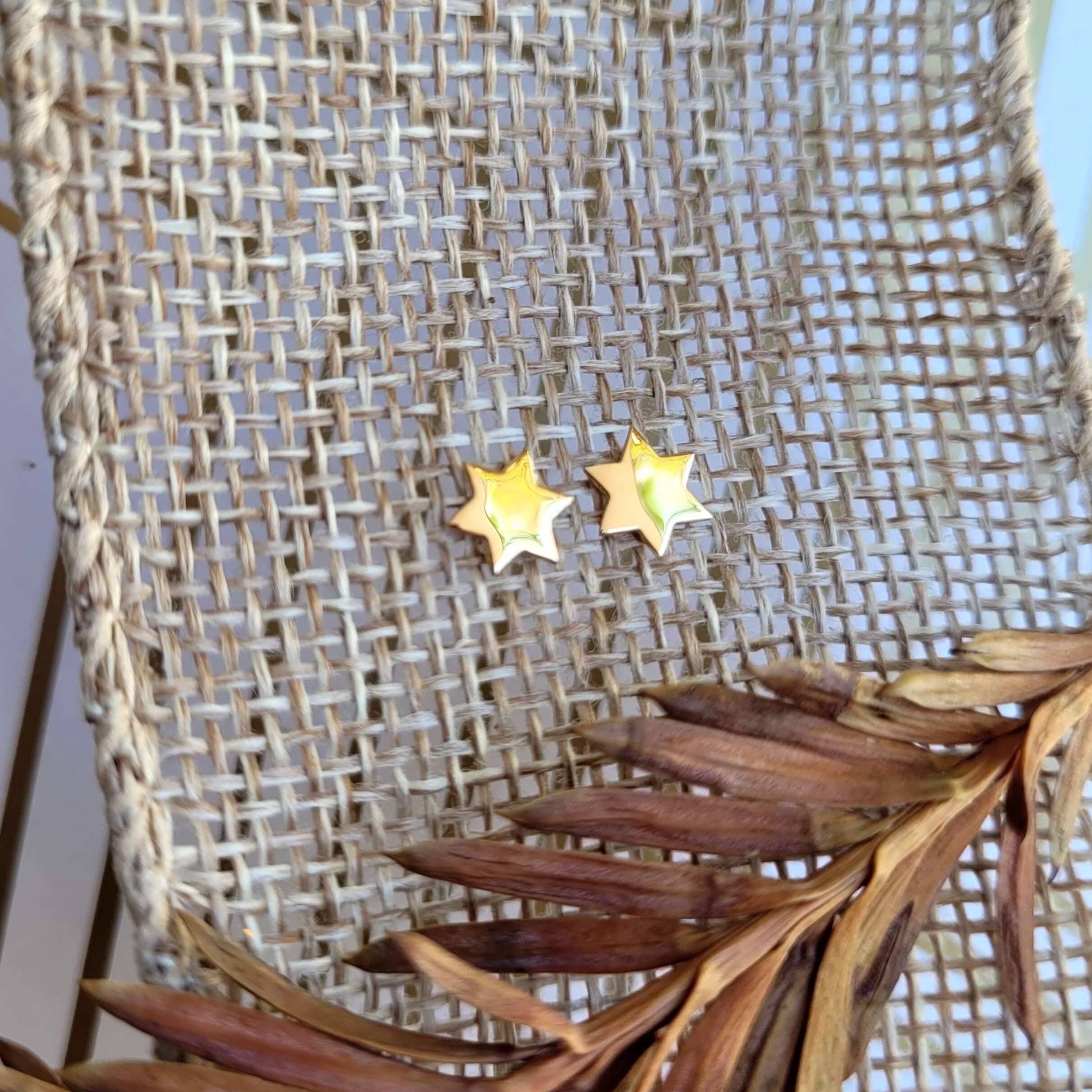 Gold-Plated Star of David Earrings、mySite、topwebapps