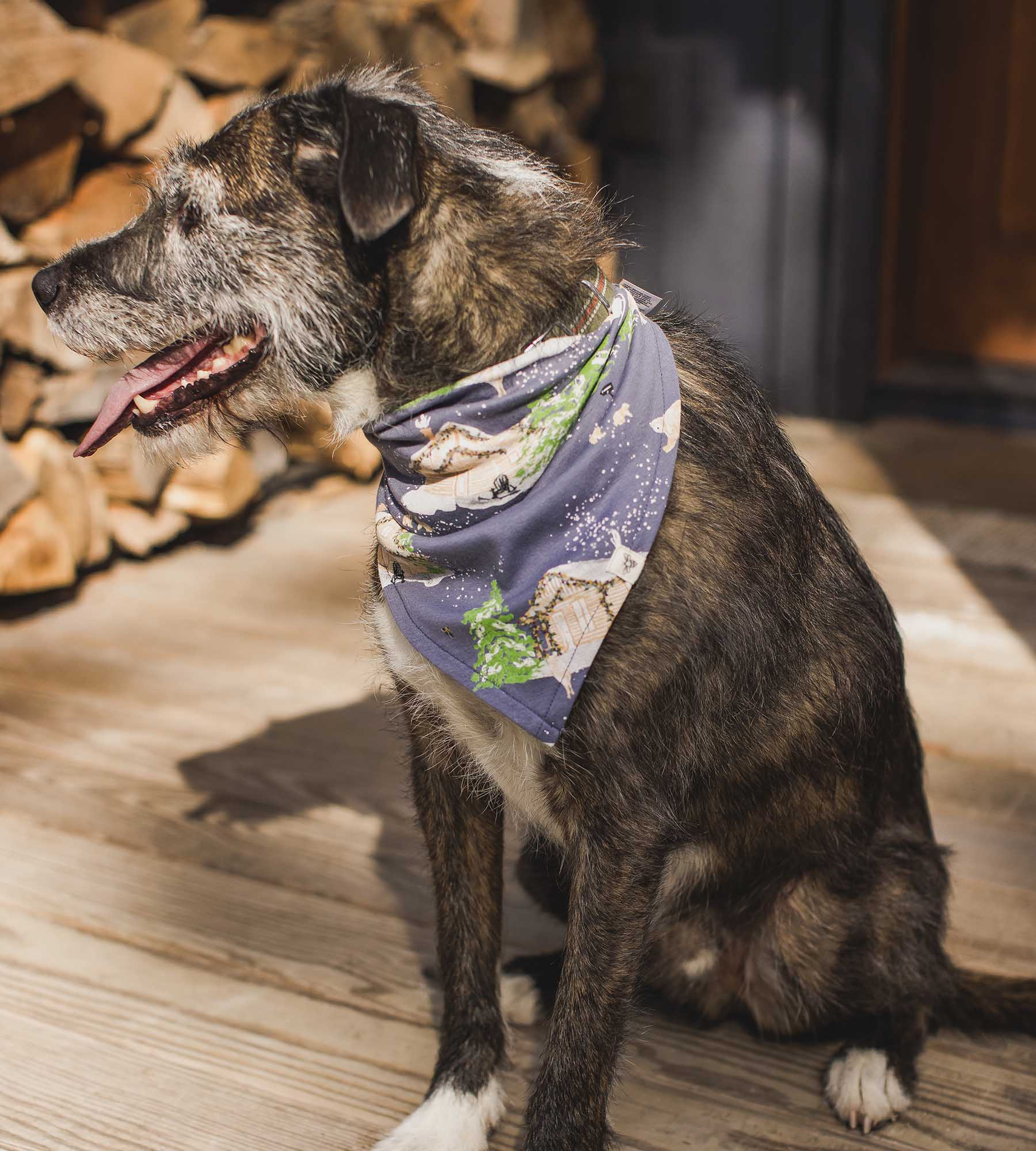  Home Sweet Home Organic Cotton Mens' Pajamas、mySite、layawaytickets