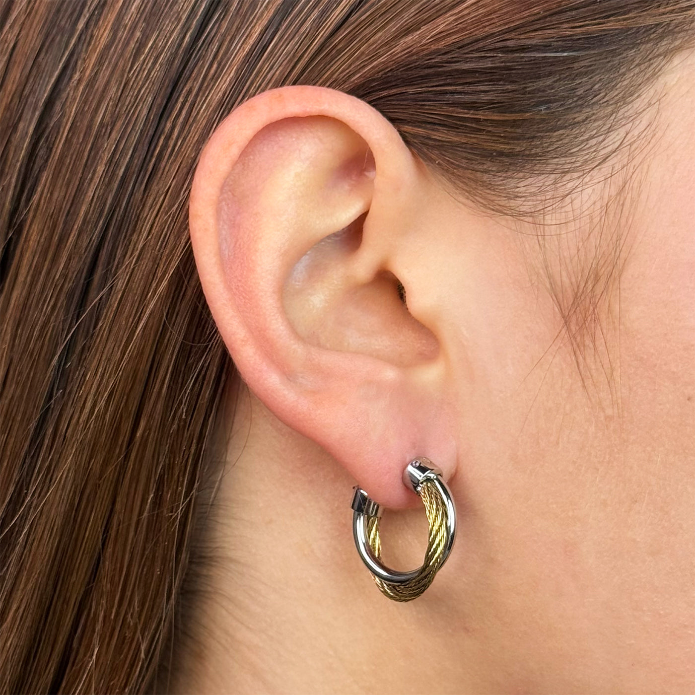 Élevé Medium Double Hoop Earrings, Two-tone、mySite、botmansion