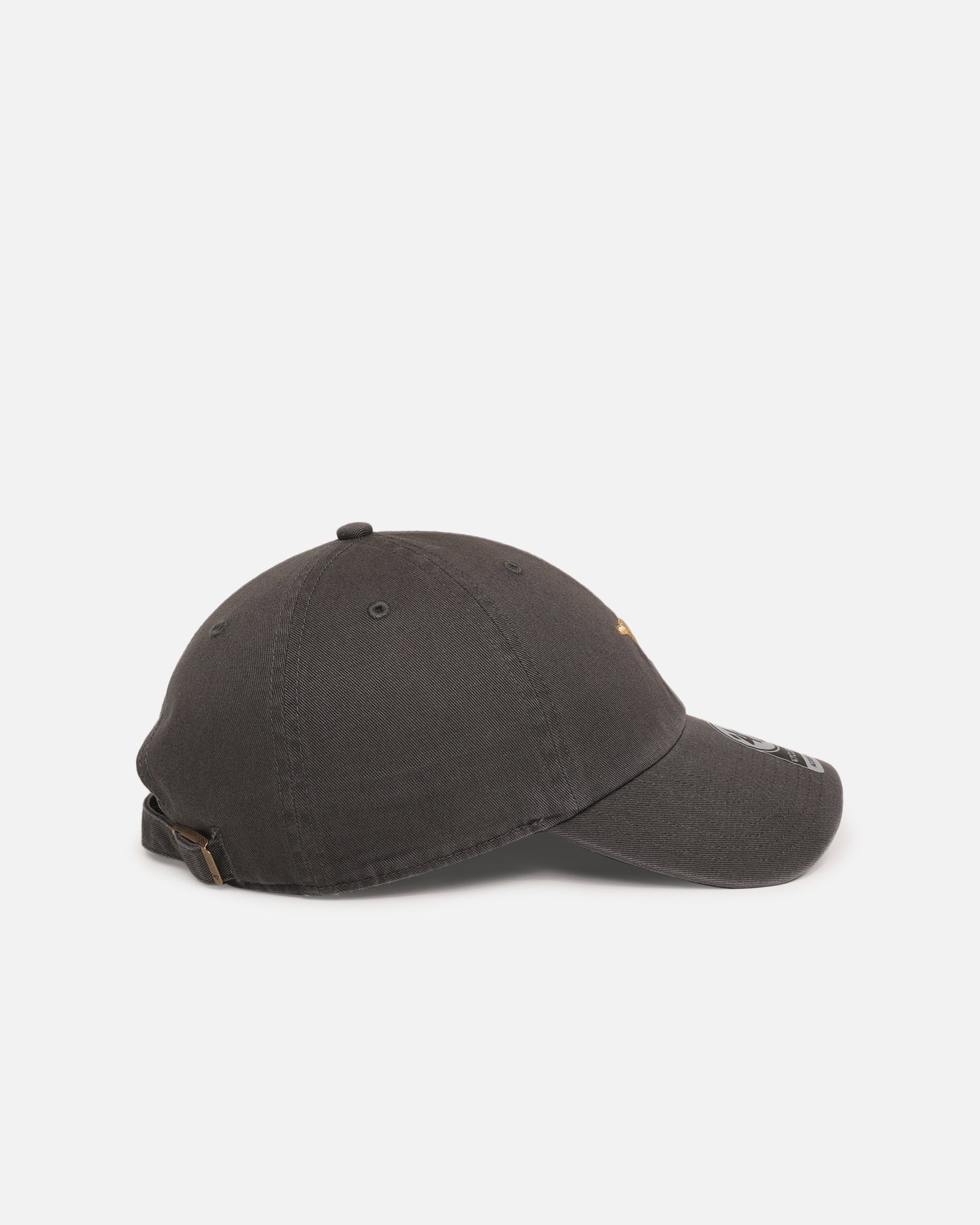 47 Brand Golden Retriever 'Dog Collection' 47 Clean Up Strapback Charcoal、mySite、zt4zffjzw