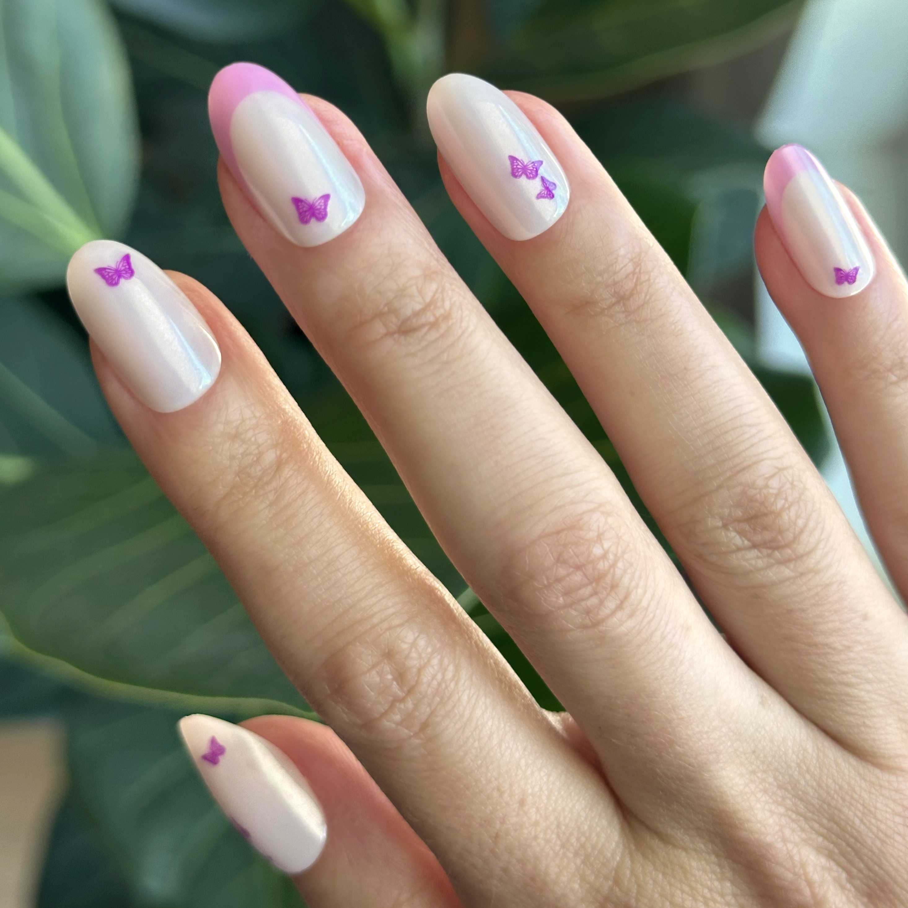 Butterfly Mixed French - Press-On | Medium | Oval、mySite、solidvoid