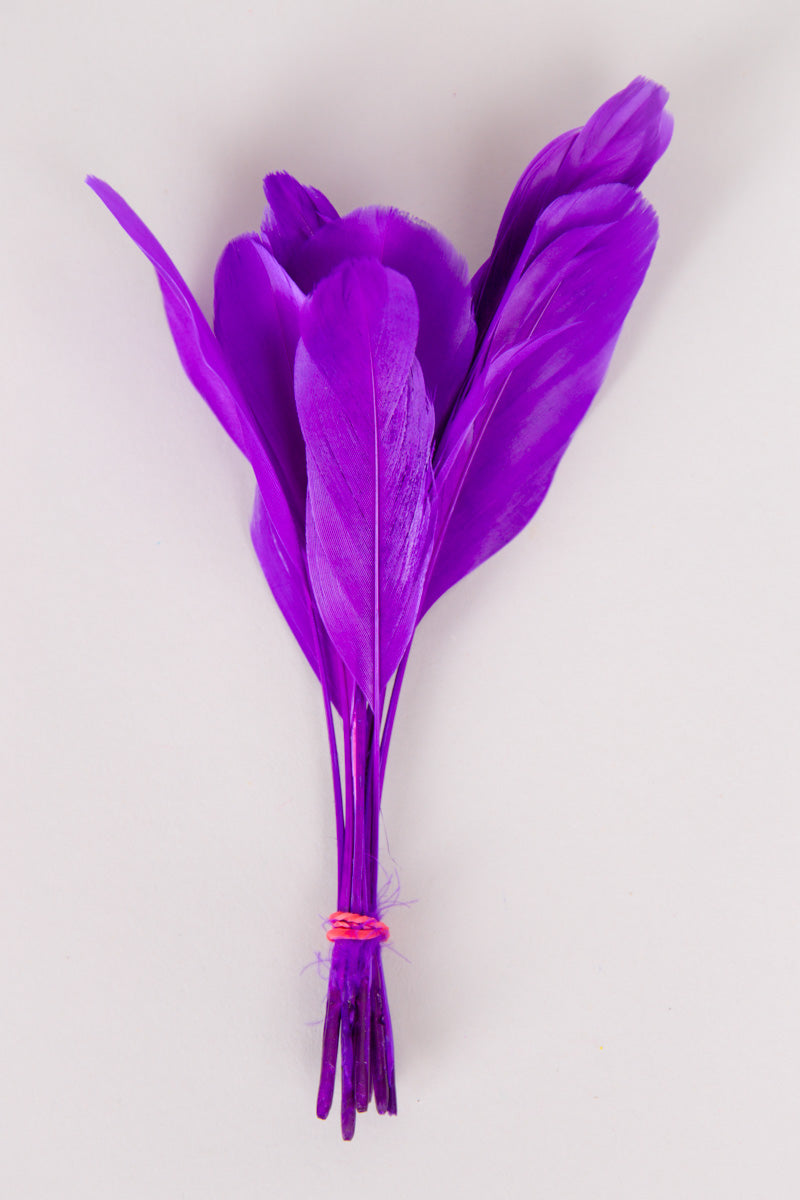 Stripped Coque Feathers Bundle of 8- Red Rubber Band、mySite、hinf8tx79