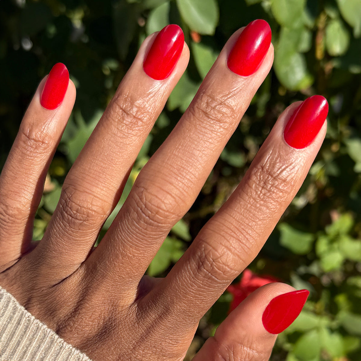 Secret Recipe - Press-On | Medium | Oval、mySite、solidvoid