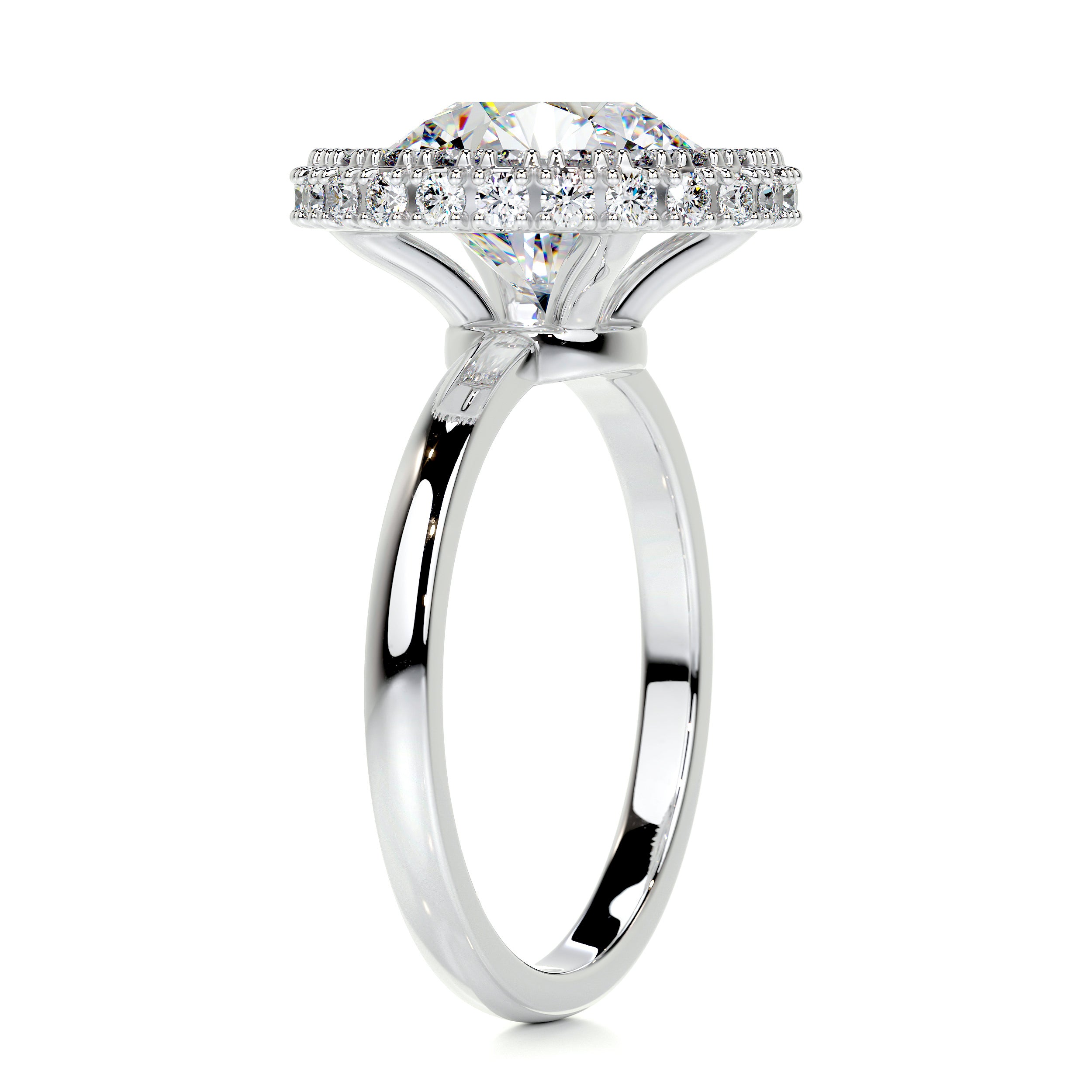 Rosalie Moissanite & Diamond Ring -14K White Gold、mySite、hinf8tx79