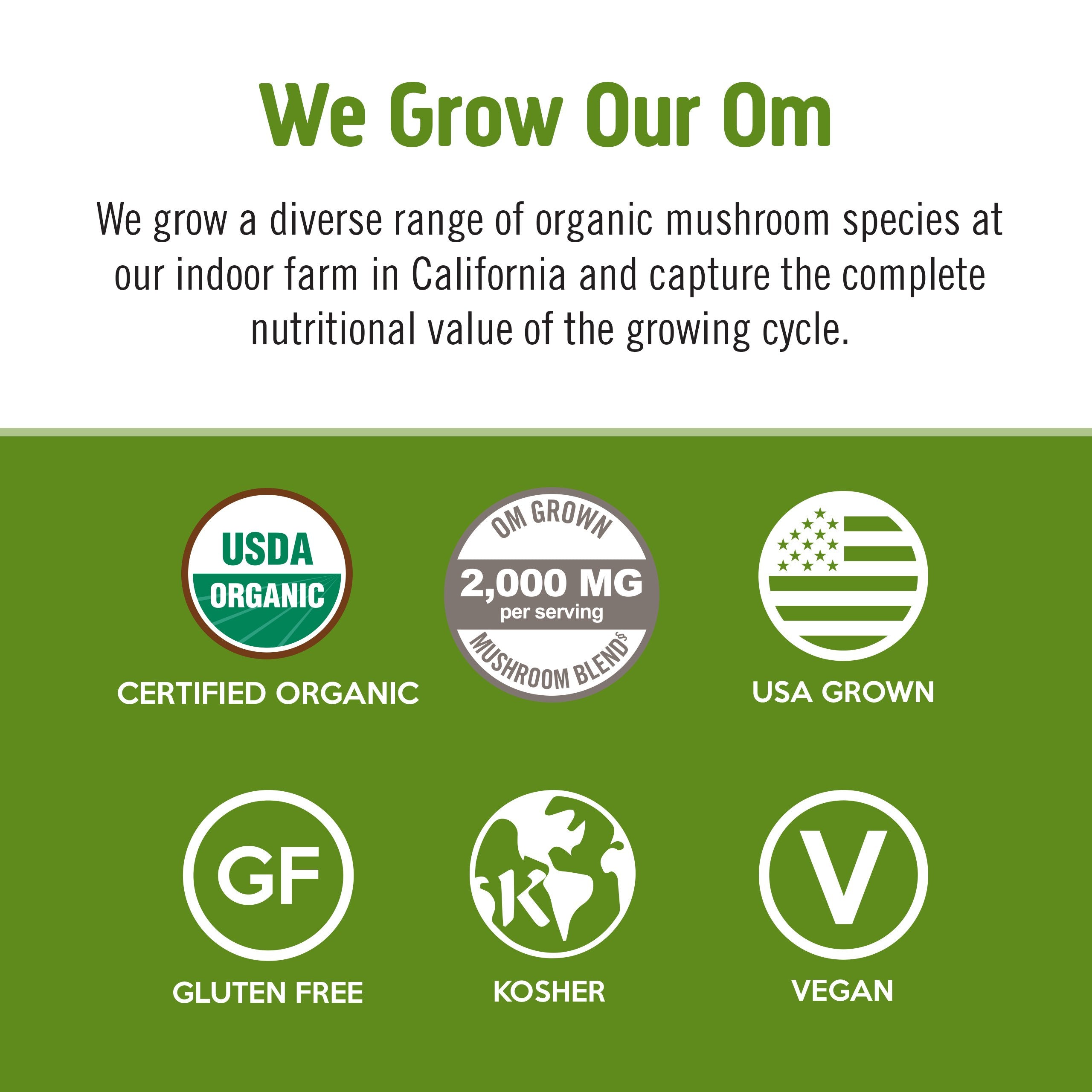 Mushroom Matcha Latte Blend、mySite、gigharbornorthrealestate