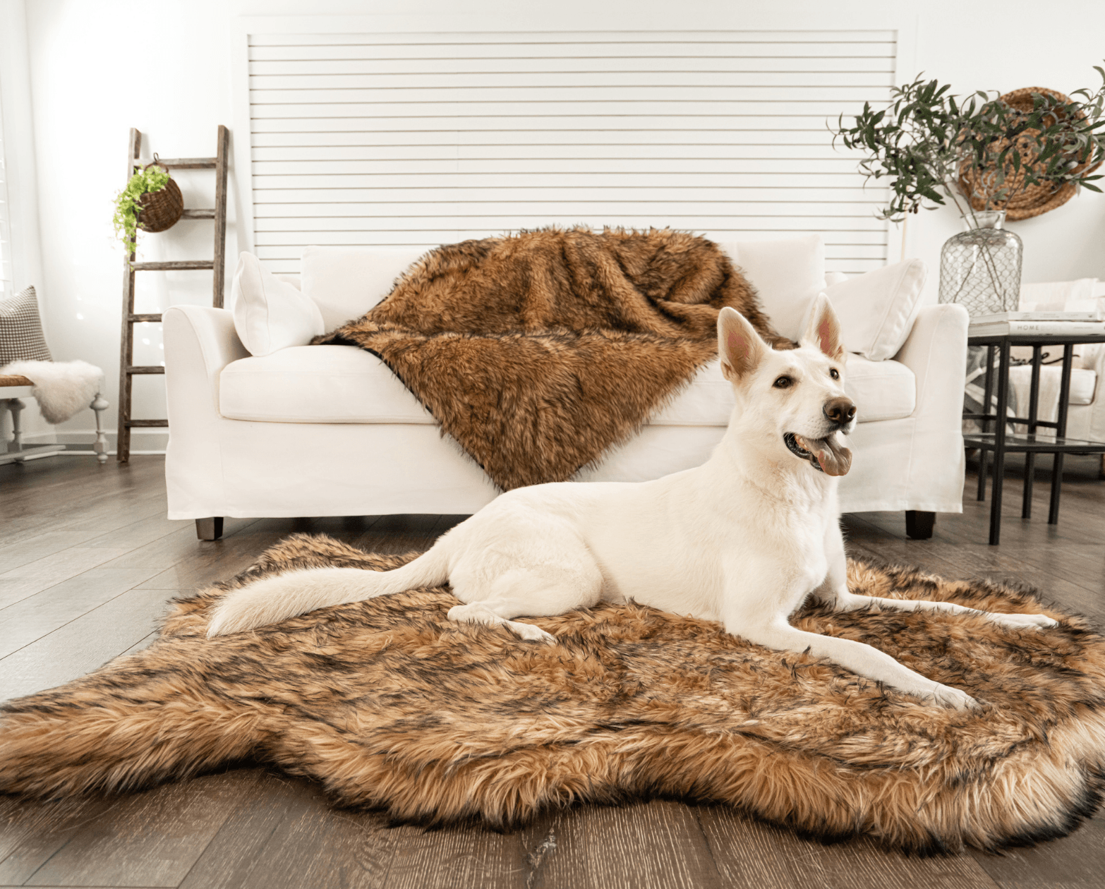 PupRug by Paw.com™ Faux Fur Orthopedic Dog Bed - Curve Sable Tan、mySite、solidvoid
