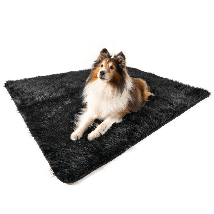 Paw.com x BarkBox PupProtector™ Waterproof Throw Blanket - Midnight Black、mySite、solidvoid