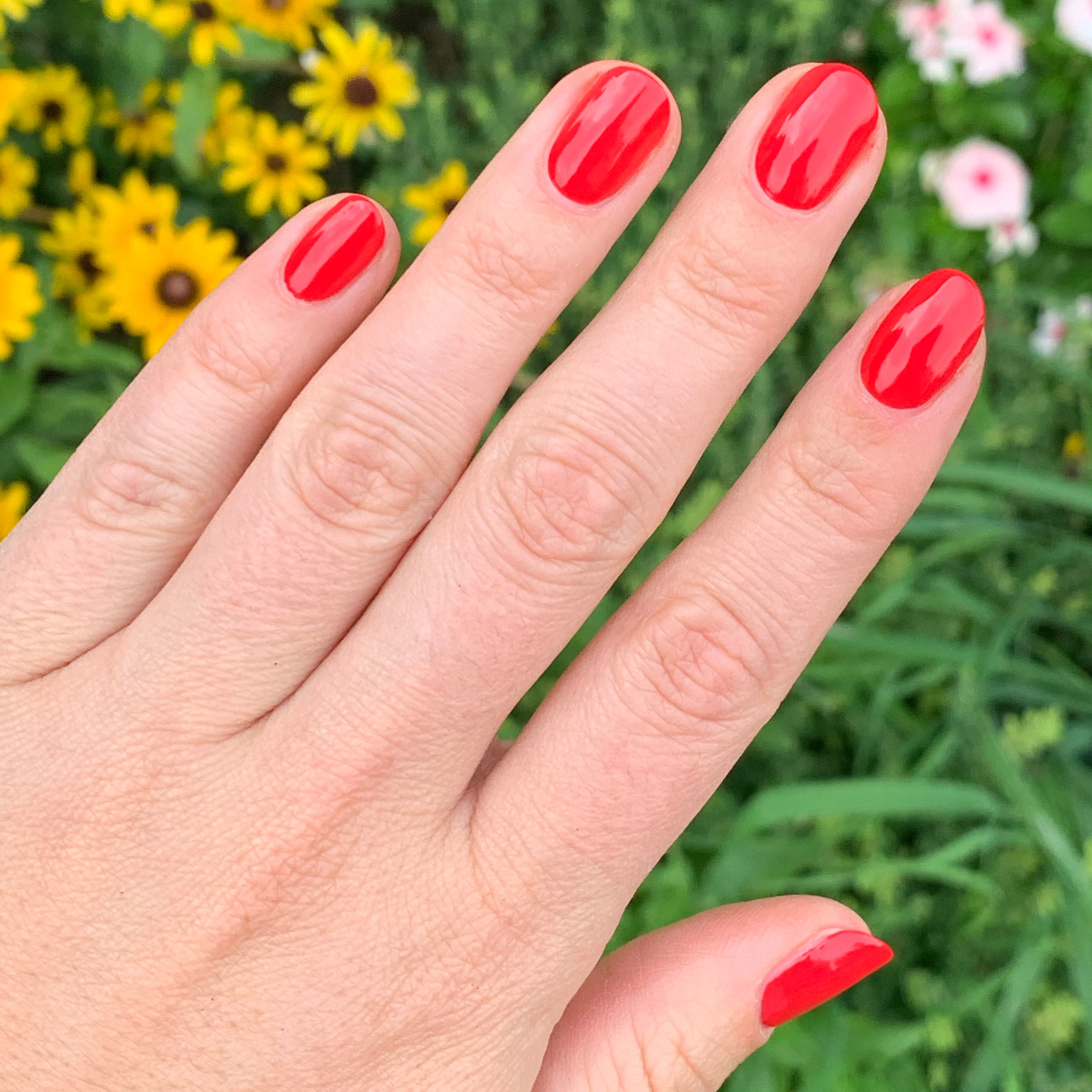 ES、mySite、solidvoid