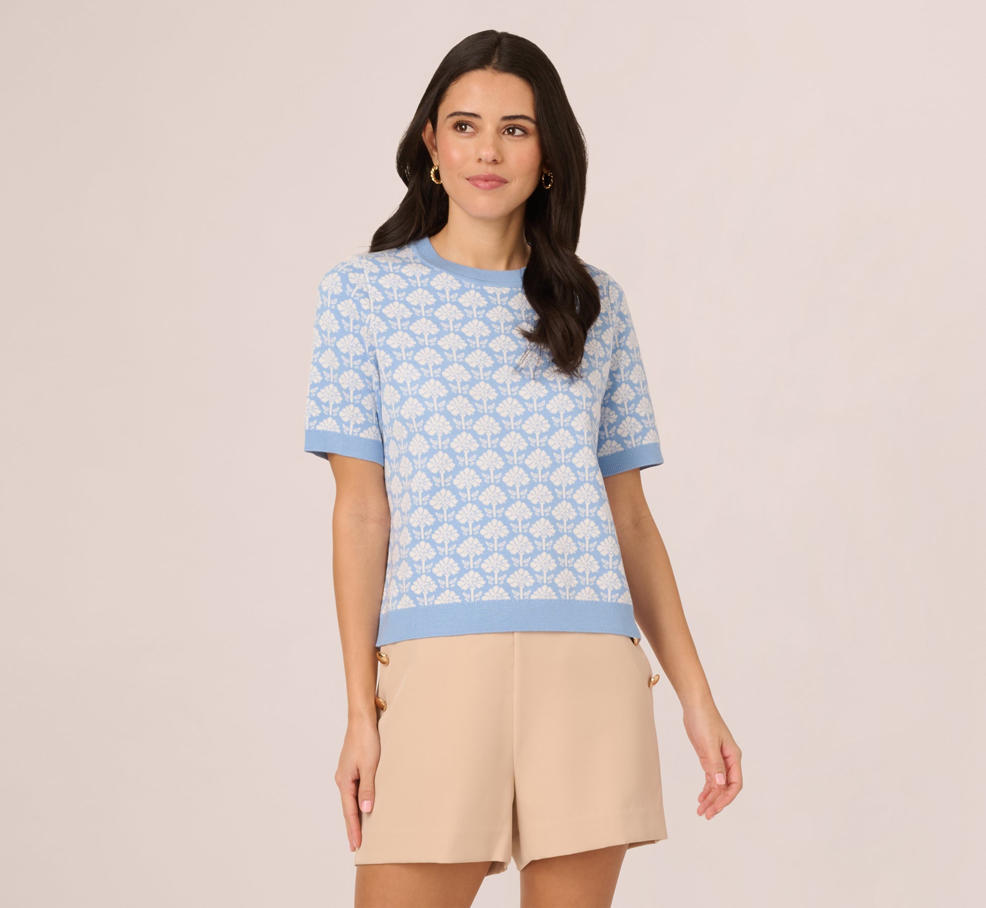 Short Sleeve Jacquard Pattern Sweater In Angelfalls、mySite、solidvoid