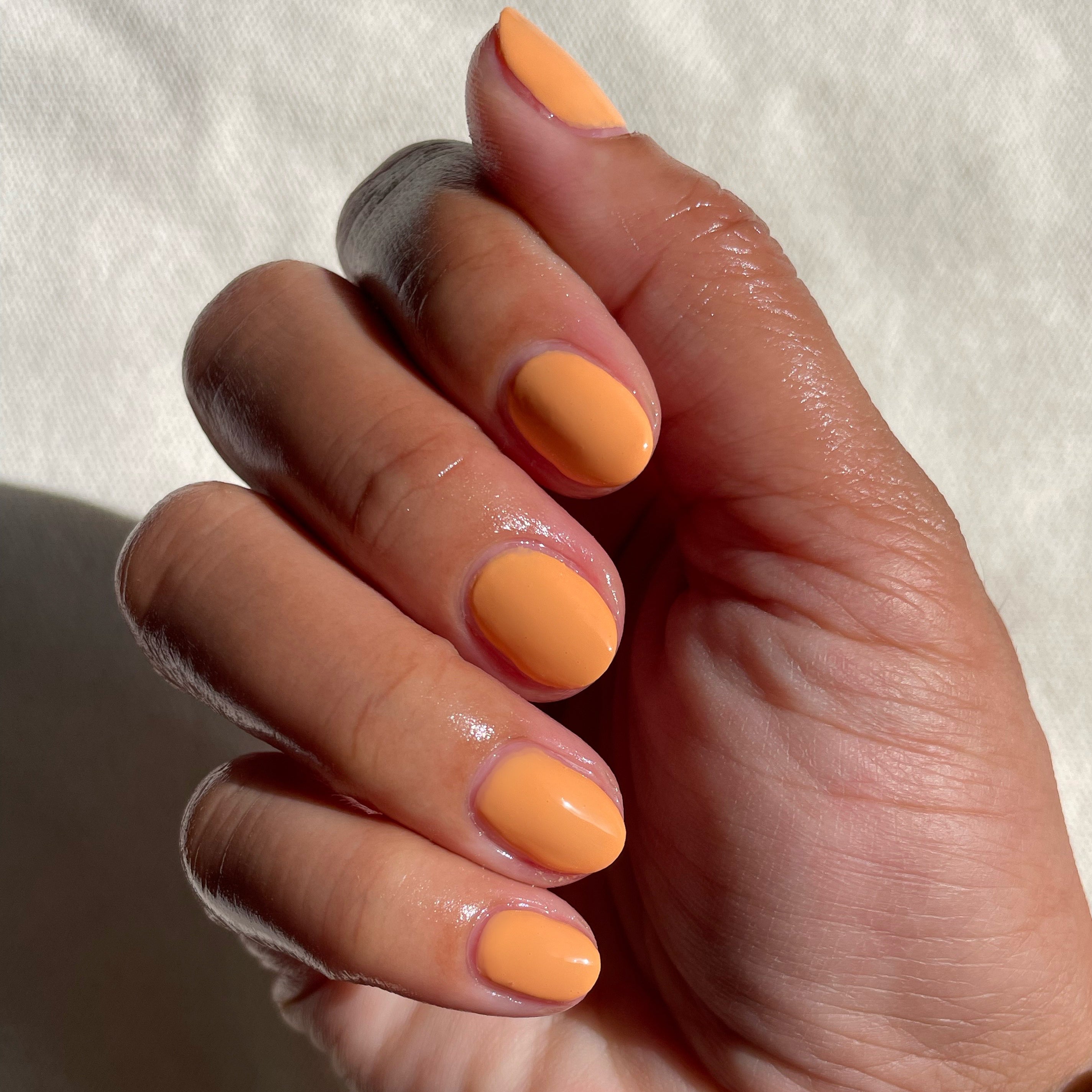 Counselor In Training、mySite、solidvoid