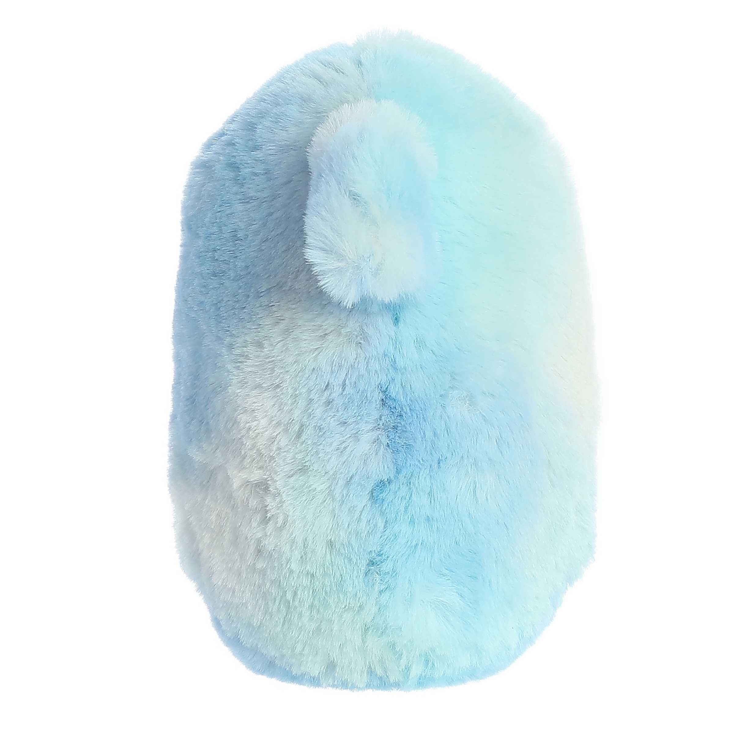 Aurora® - Rolly Pet™ - 5 Bae Shark™、mySite、g9winljtr