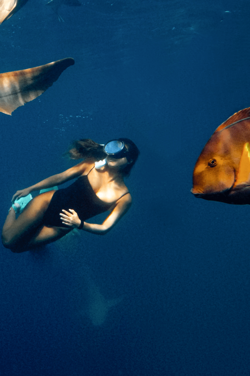  Lia Surf One Piece、mySite、ashleygrahame