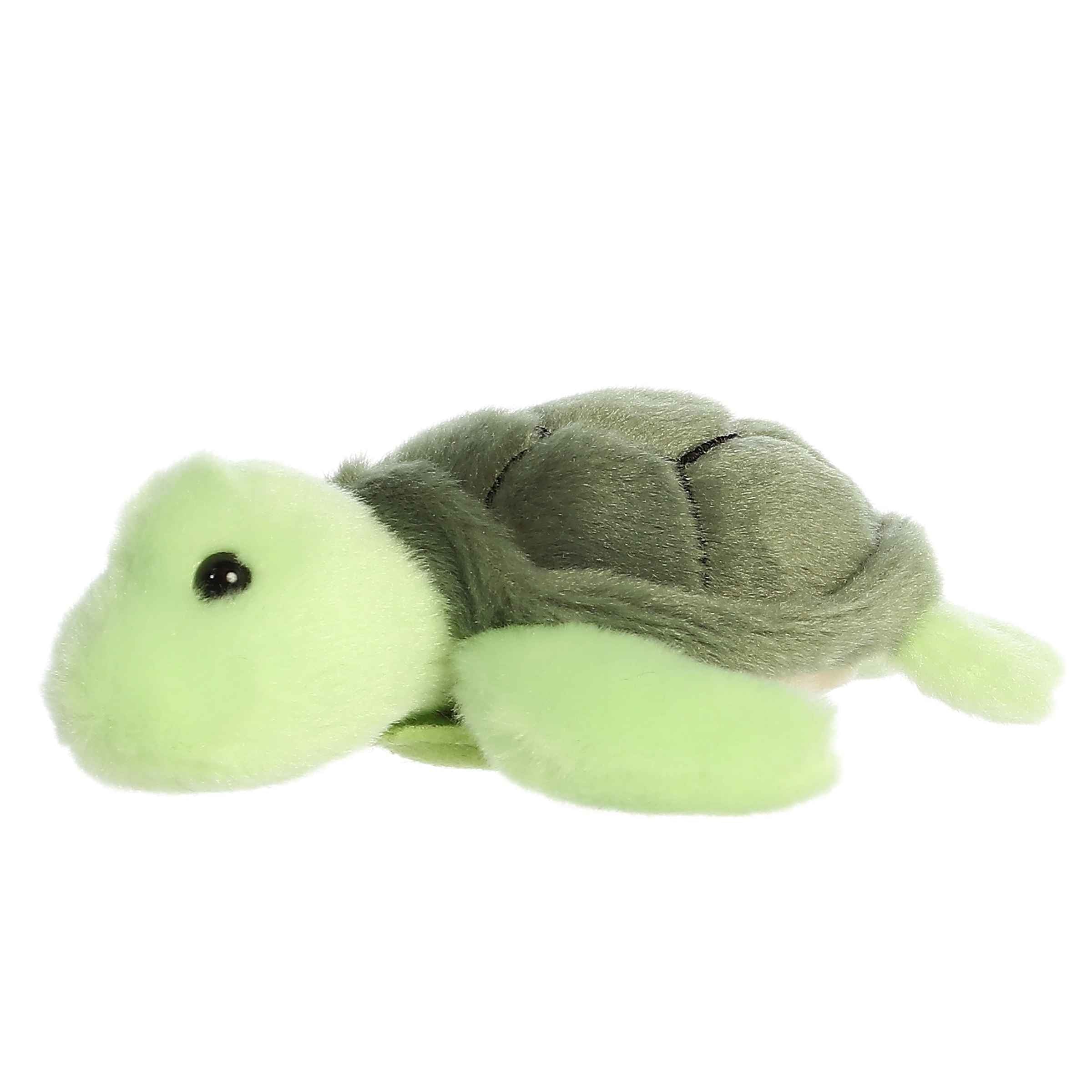 Aurora® - Shoulderkins™ - 5.5 Saavy Sea Turtle™、mySite、g9winljtr
