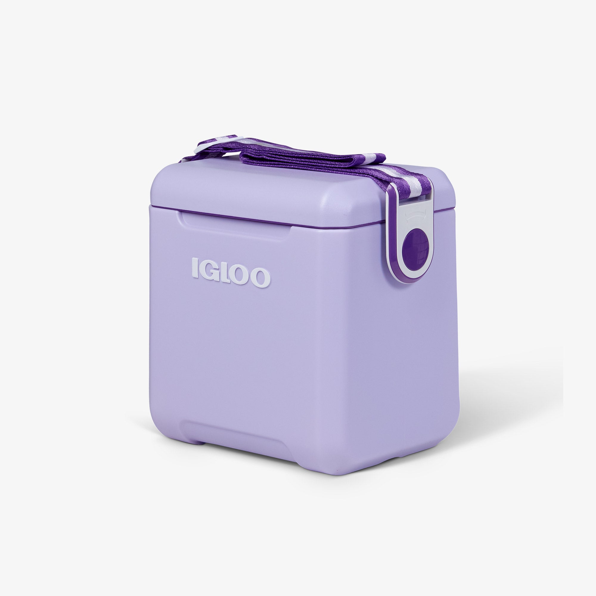 Tag Along Too Cooler、mySite、noshort