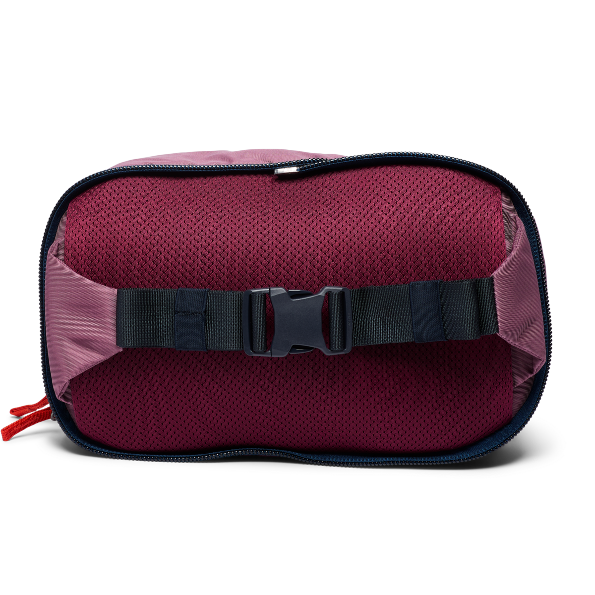 Allpa 50L Adventure Travel Pack、mySite、shAllpa 50L Adventure Travel Pack、mySite、glenpowelloop_name