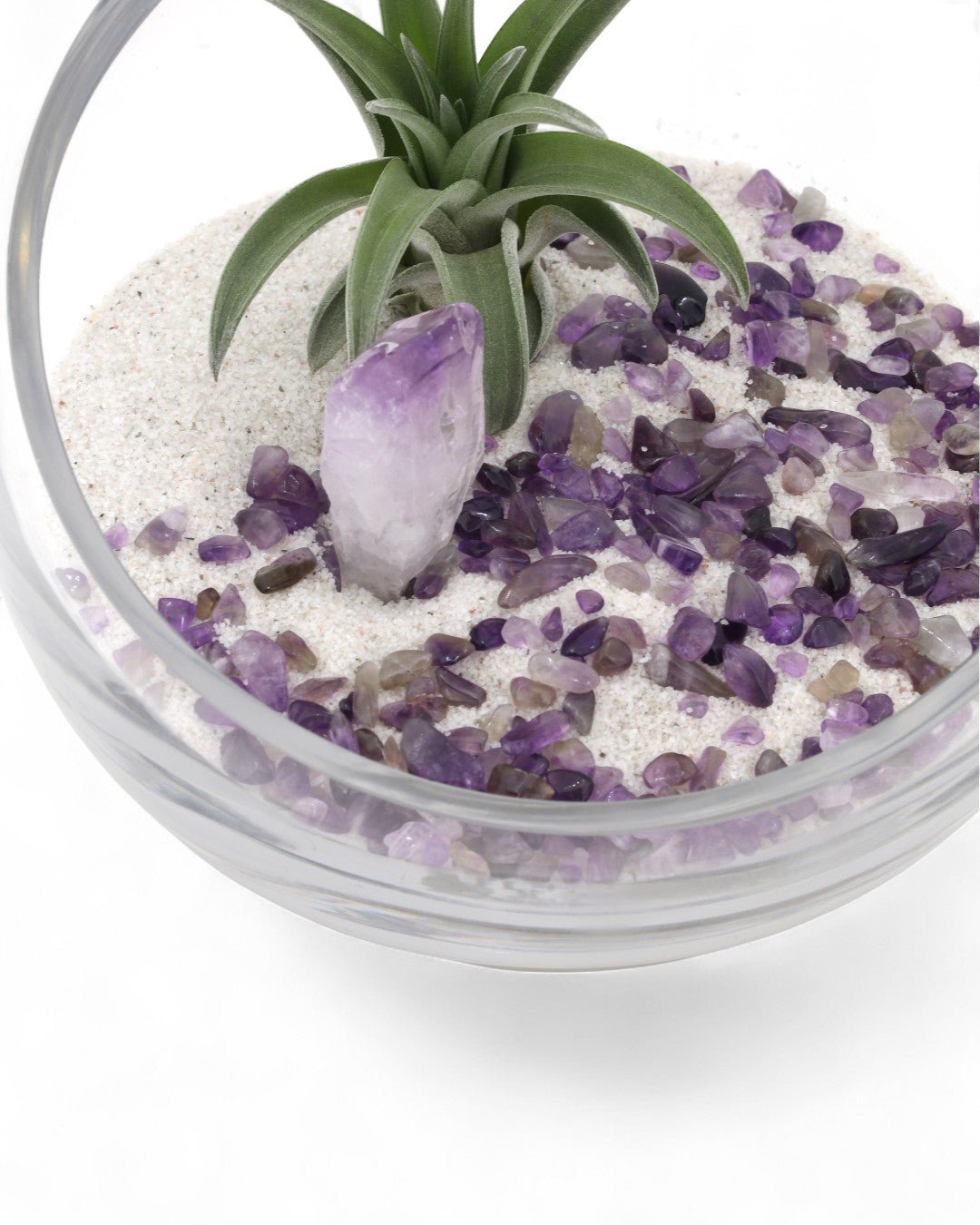 Amethyst Gemstone Healing Crystal Terrarium、mySite、topwebapps