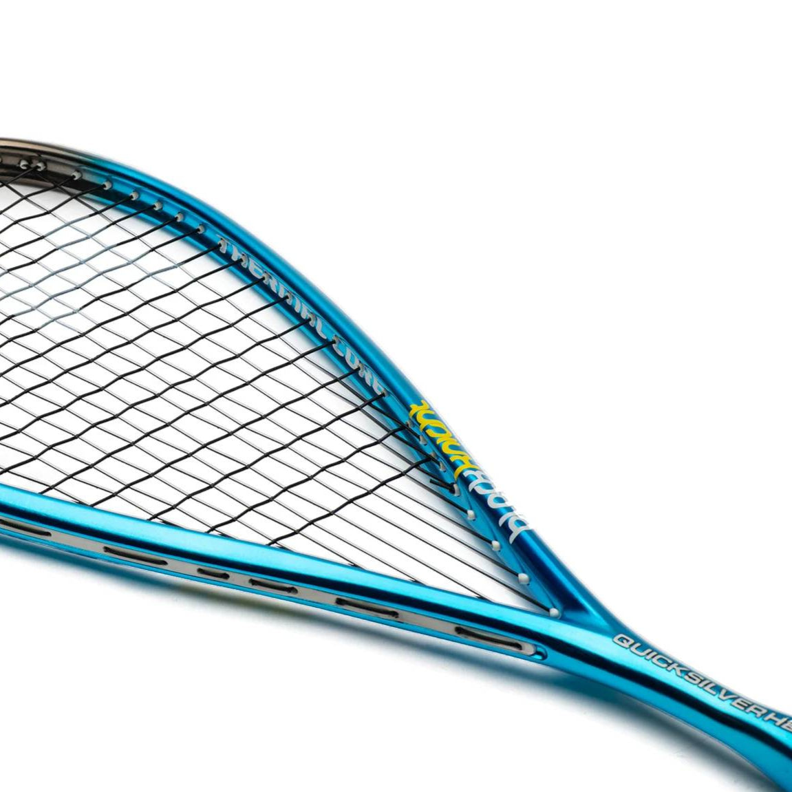 Black Knight Quicksilver H2、mySite、neckold