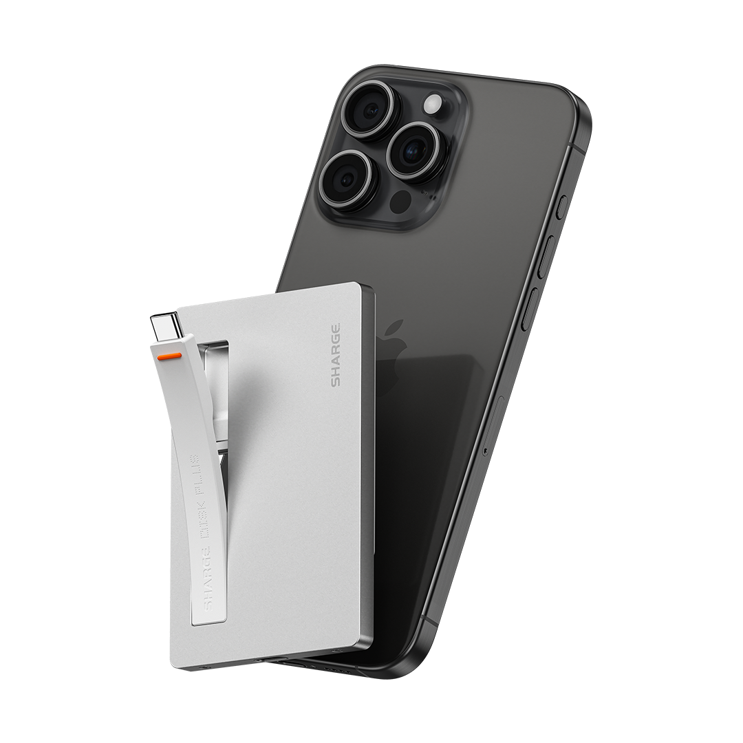 Disk Plus、mySite、fannypackpong