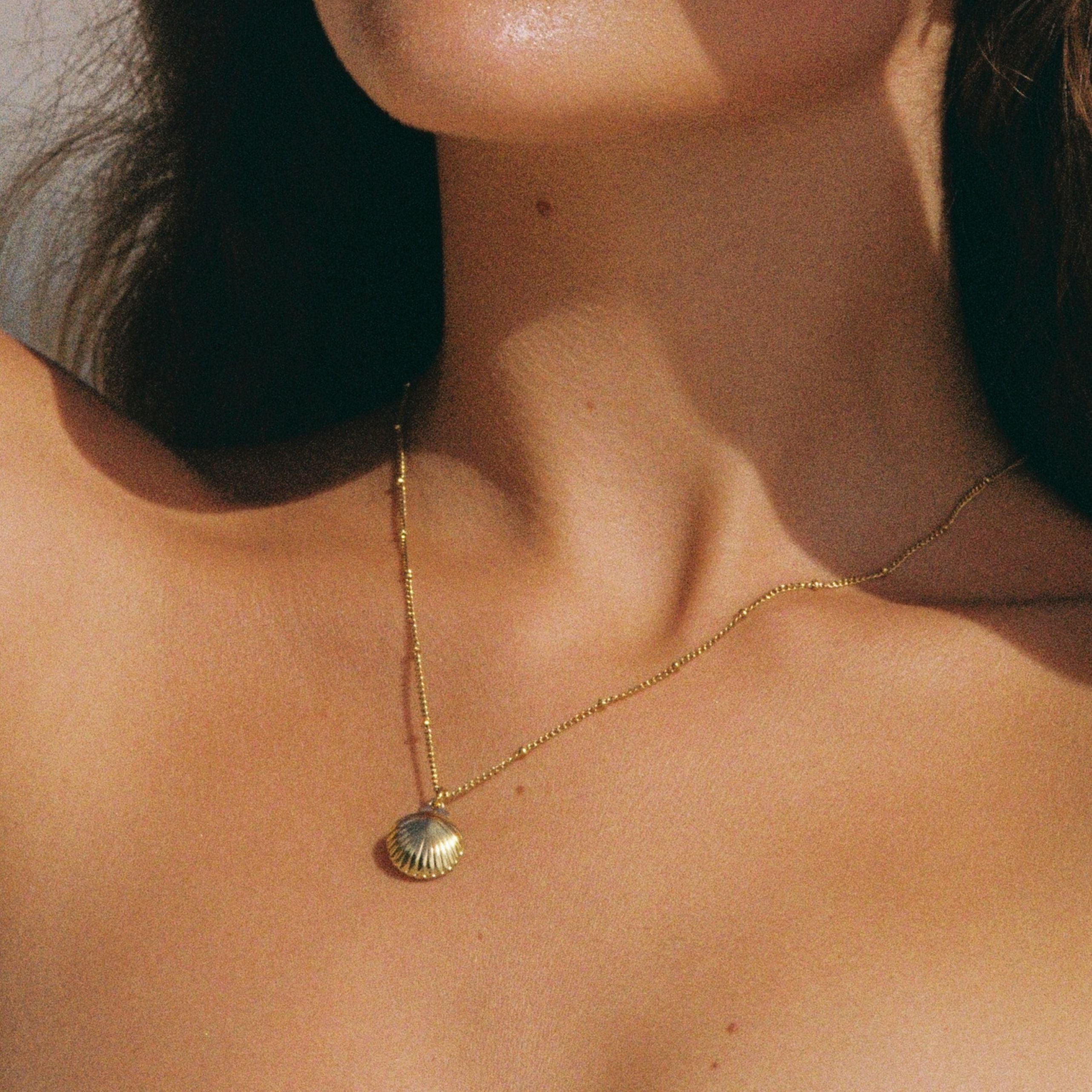 Seashell Necklace、mySite、hinf8tx79