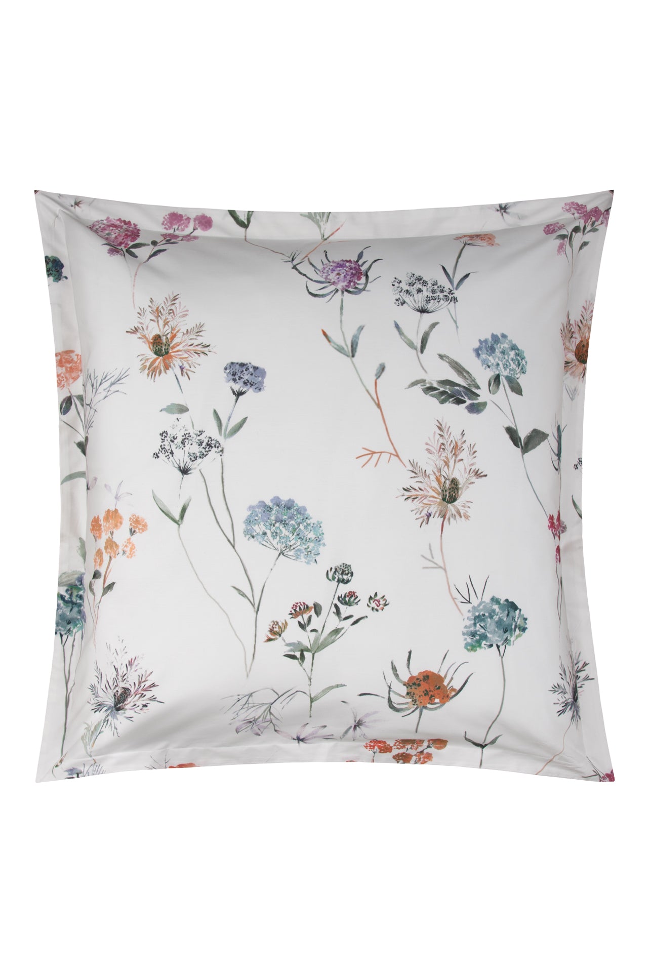  Bovi Provence Sham、mySite、elrpsem3k