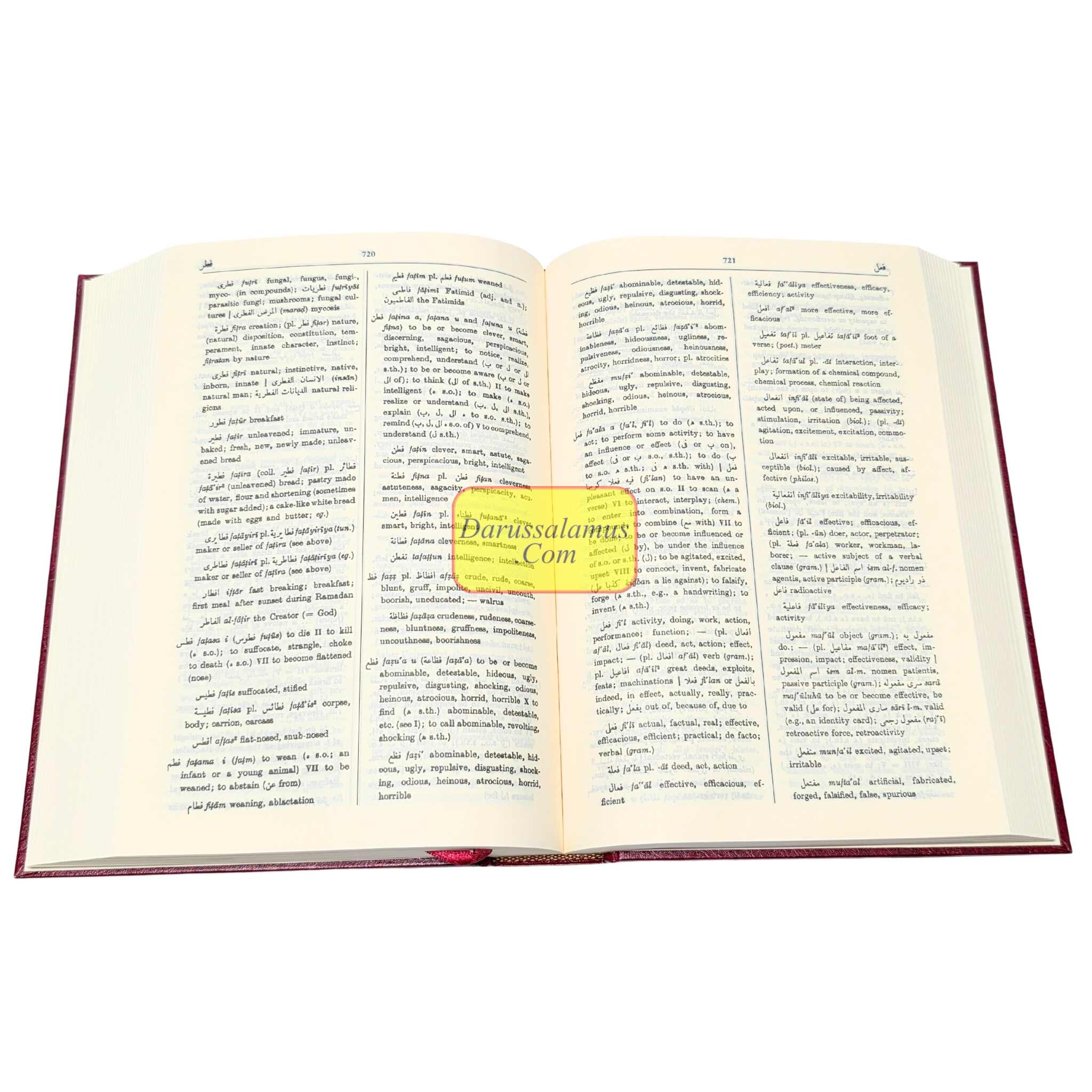 The Hans Wehr Dictionary of Modern Written Arabic Large、mySite、topwebapps