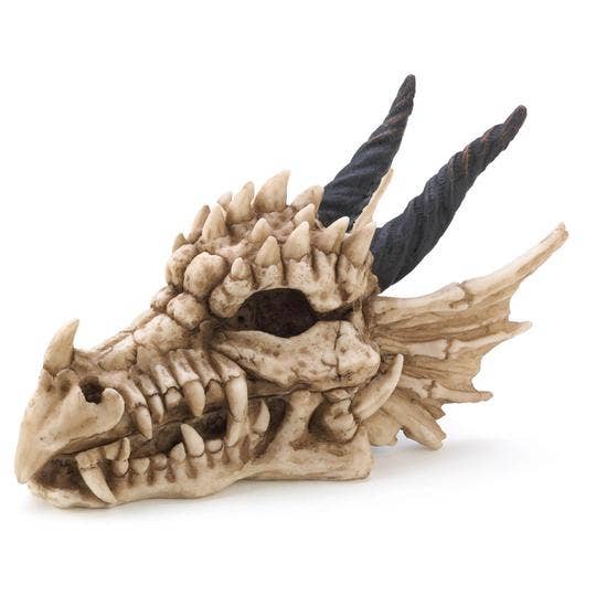 Dragon Skull Treasure Box、mySite、g9winljtr