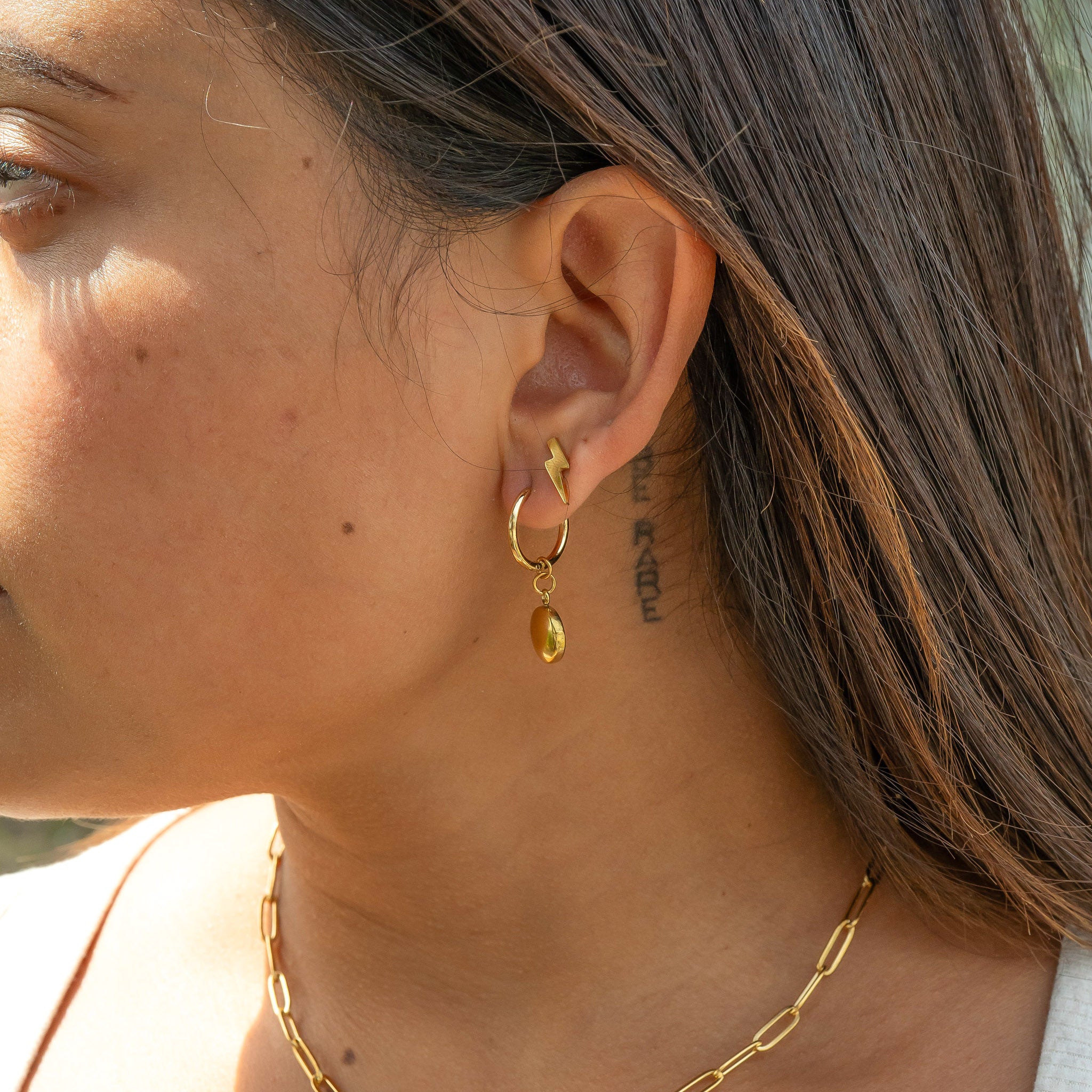 18K Gold PVD Stainless Steel Circle Coin Pendant Earrings / ERJ0049、mySite、dreamappss