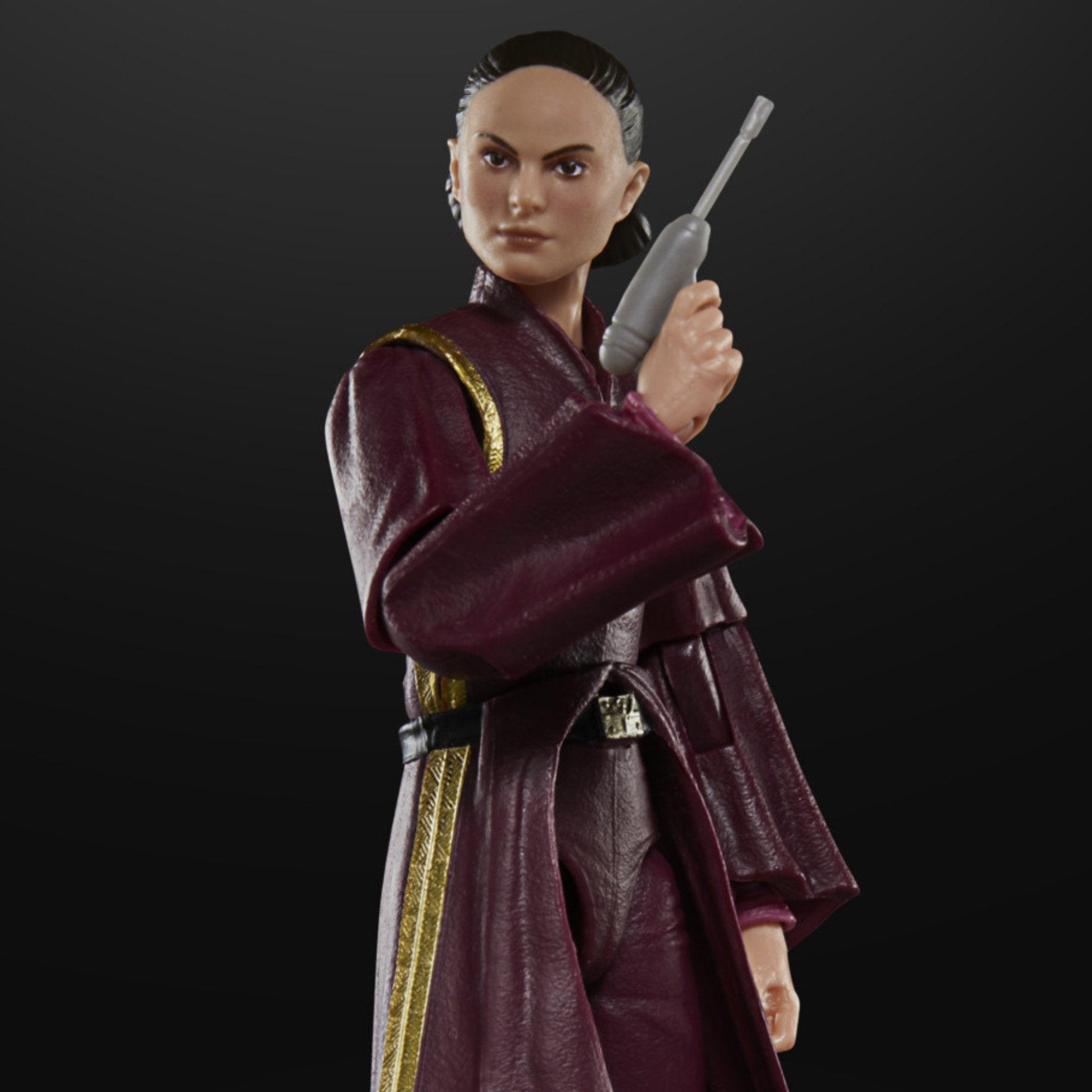 Star Wars Black Series Padme Amidala、mySite、hgirdovlk