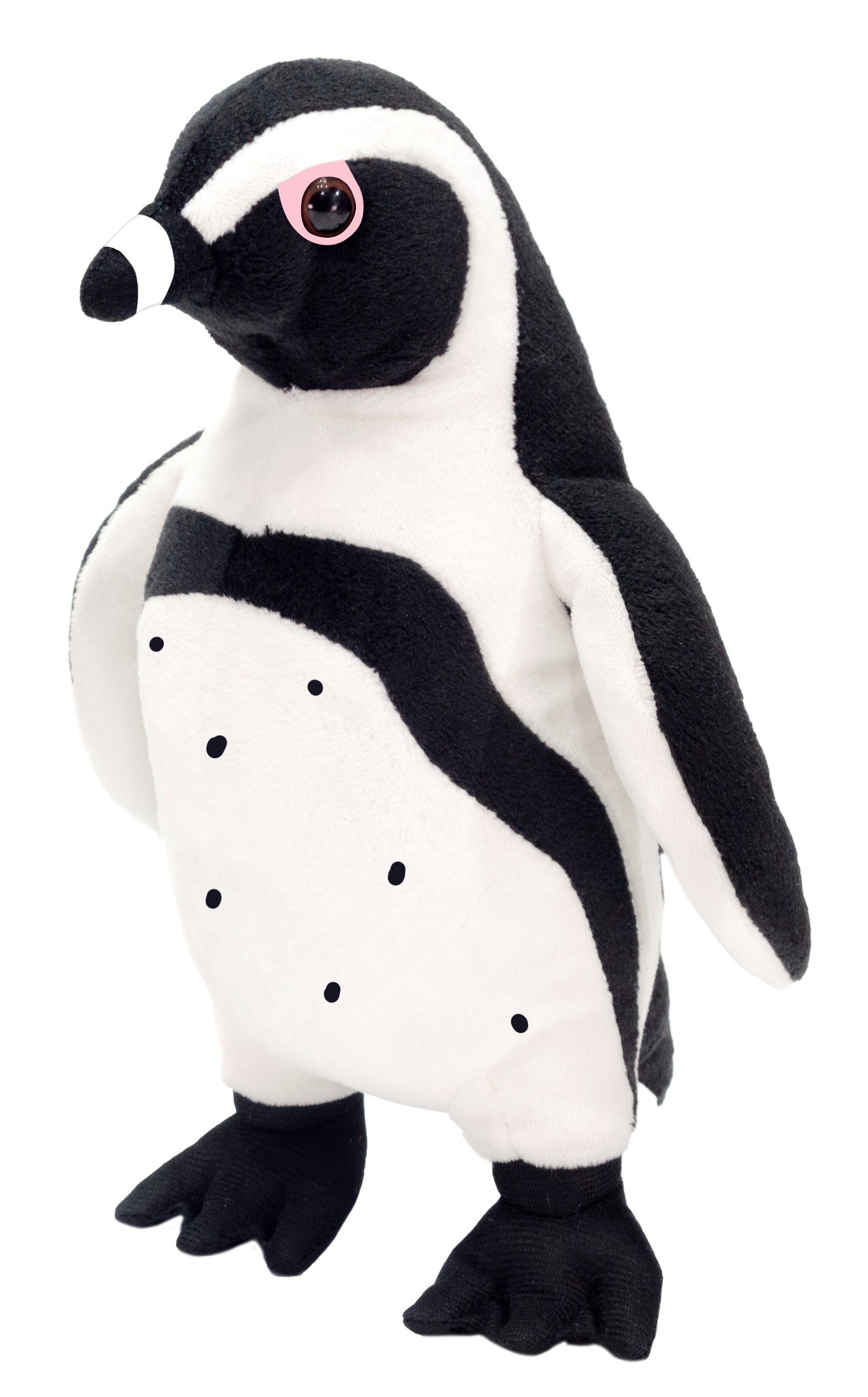 7IN AFRICAN PENGUIN、mySite、g9winljtr